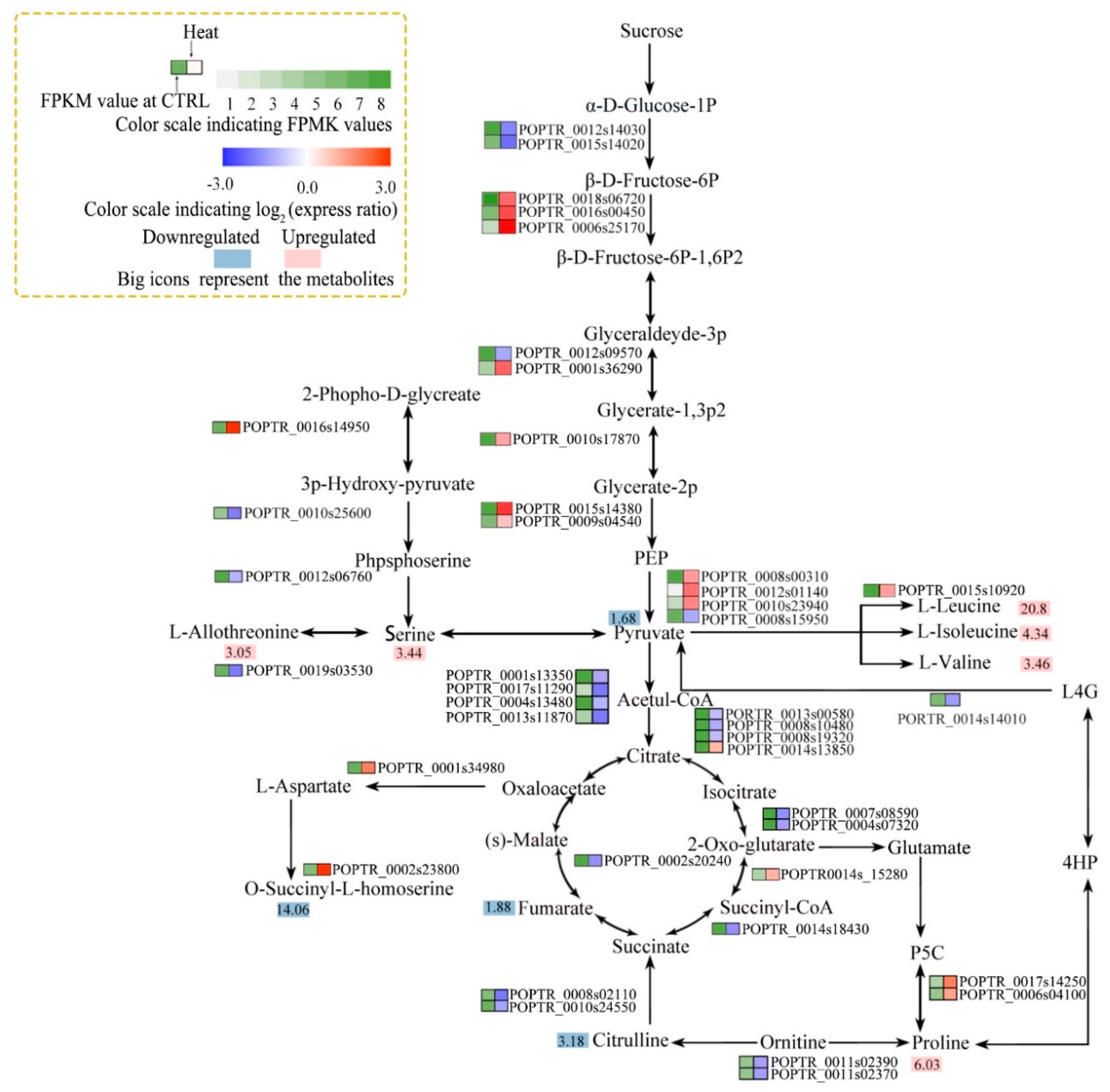 Forests 10 00383 g007 Forests 10 00383 g007