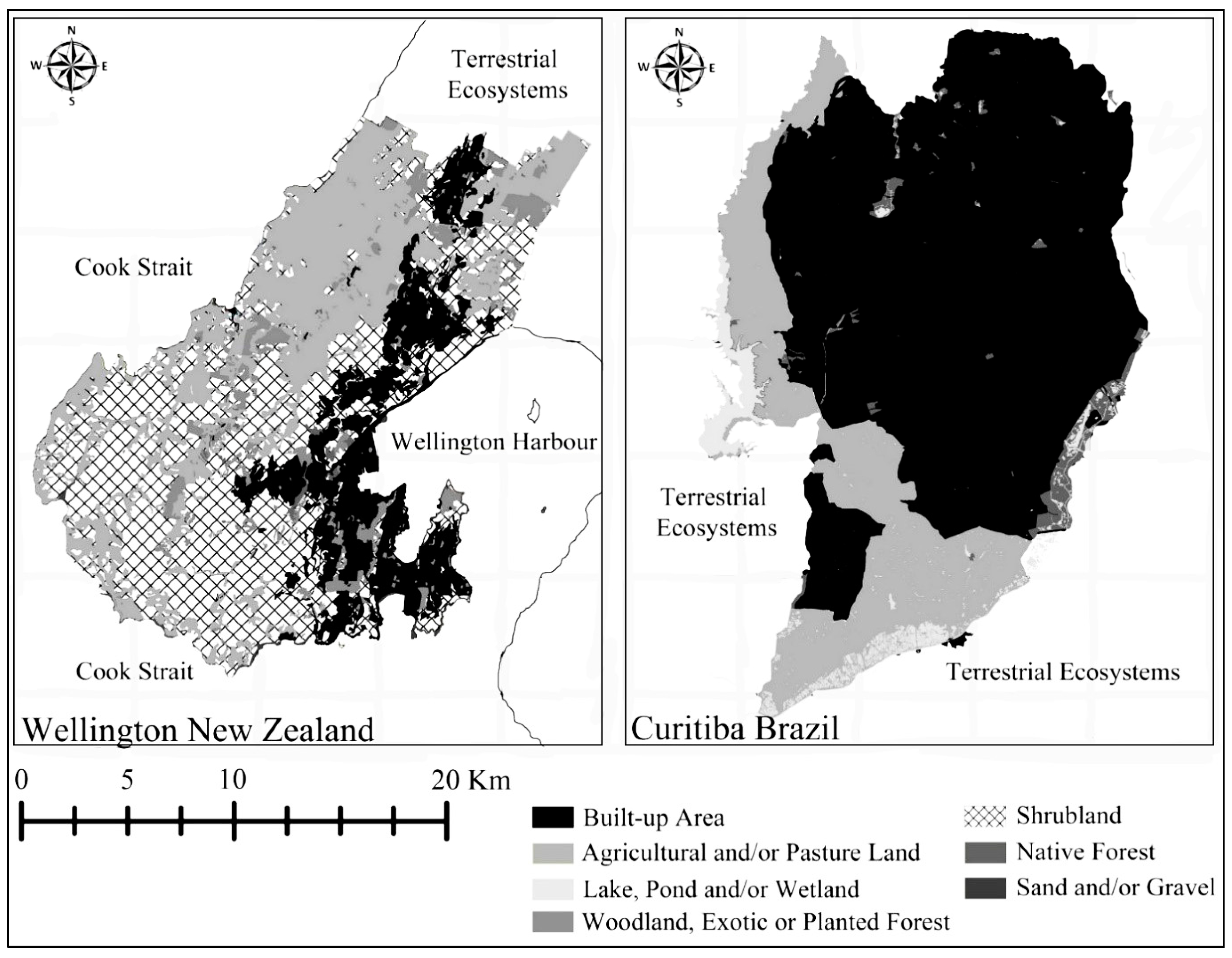 Forests 10 00391 g002 550