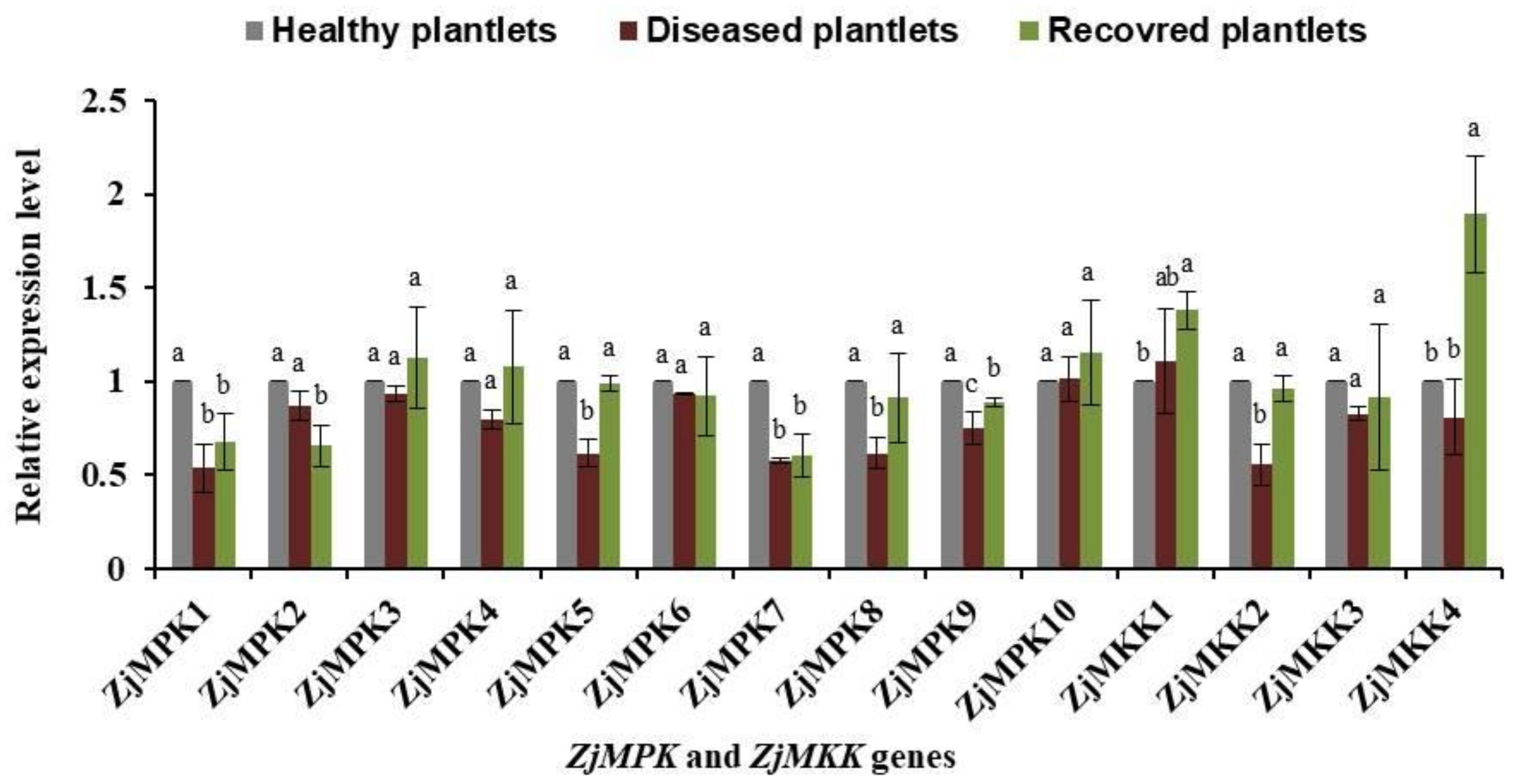 Forests 10 00392 g001