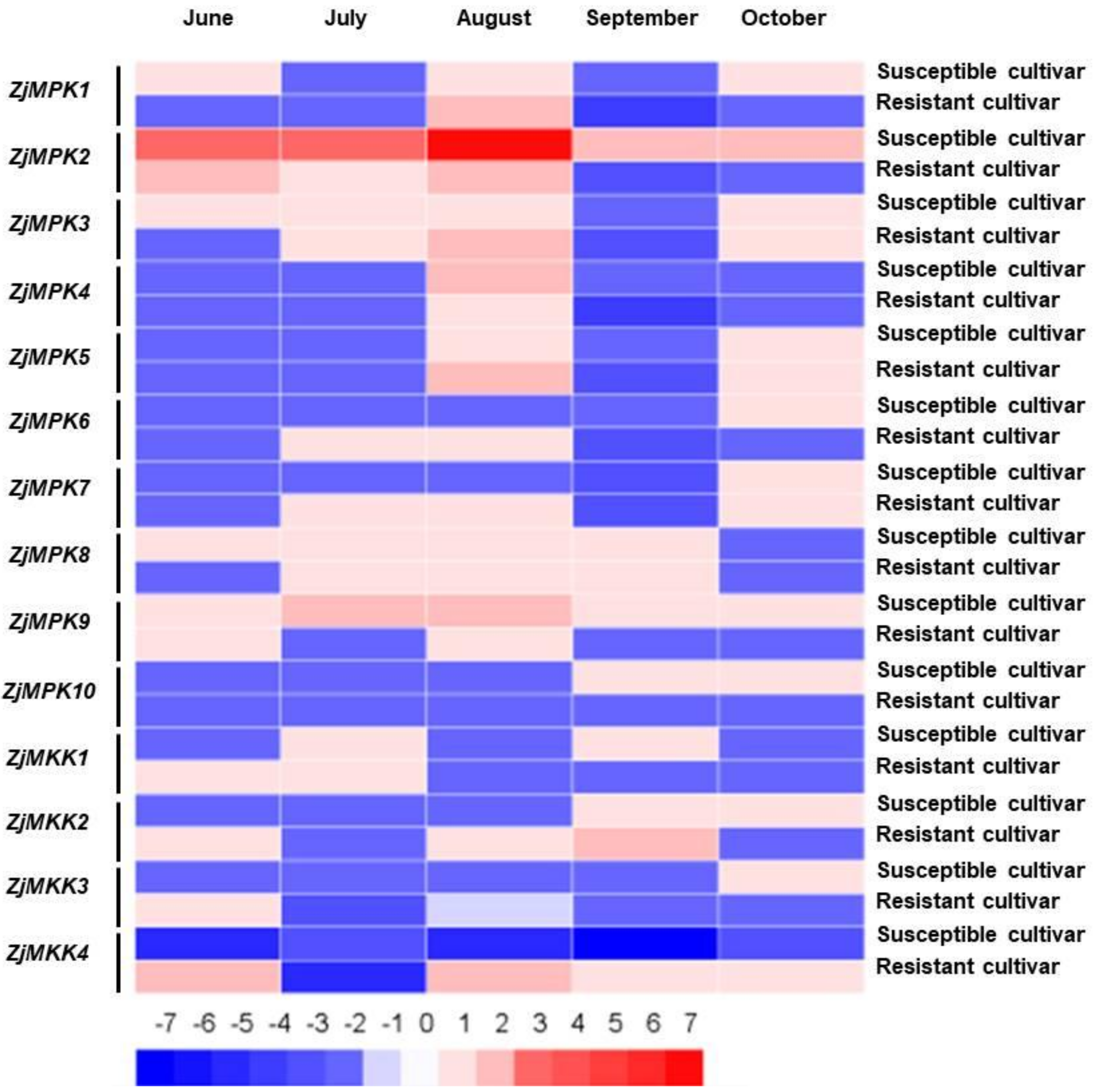 Forests 10 00392 g004