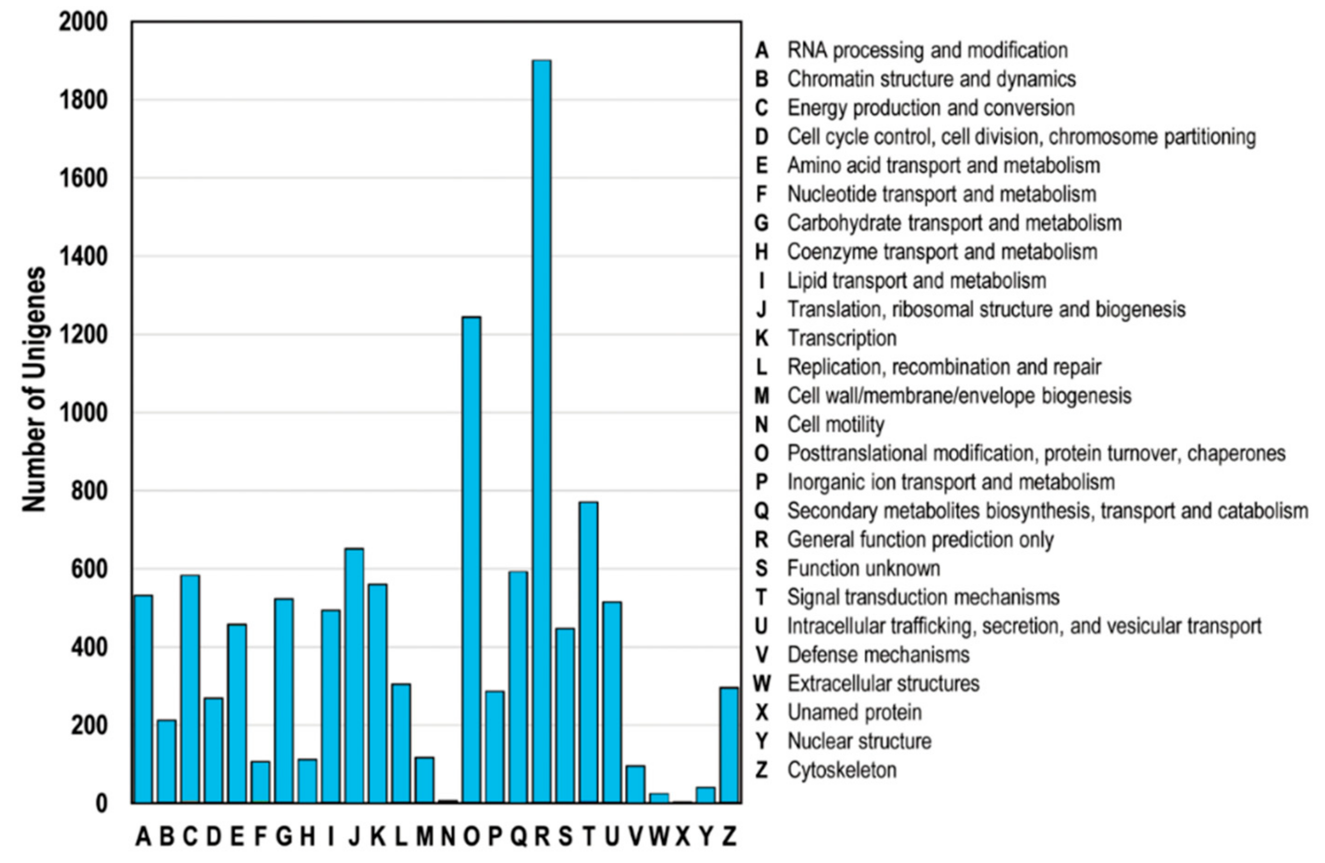 Forests 10 00393 g004