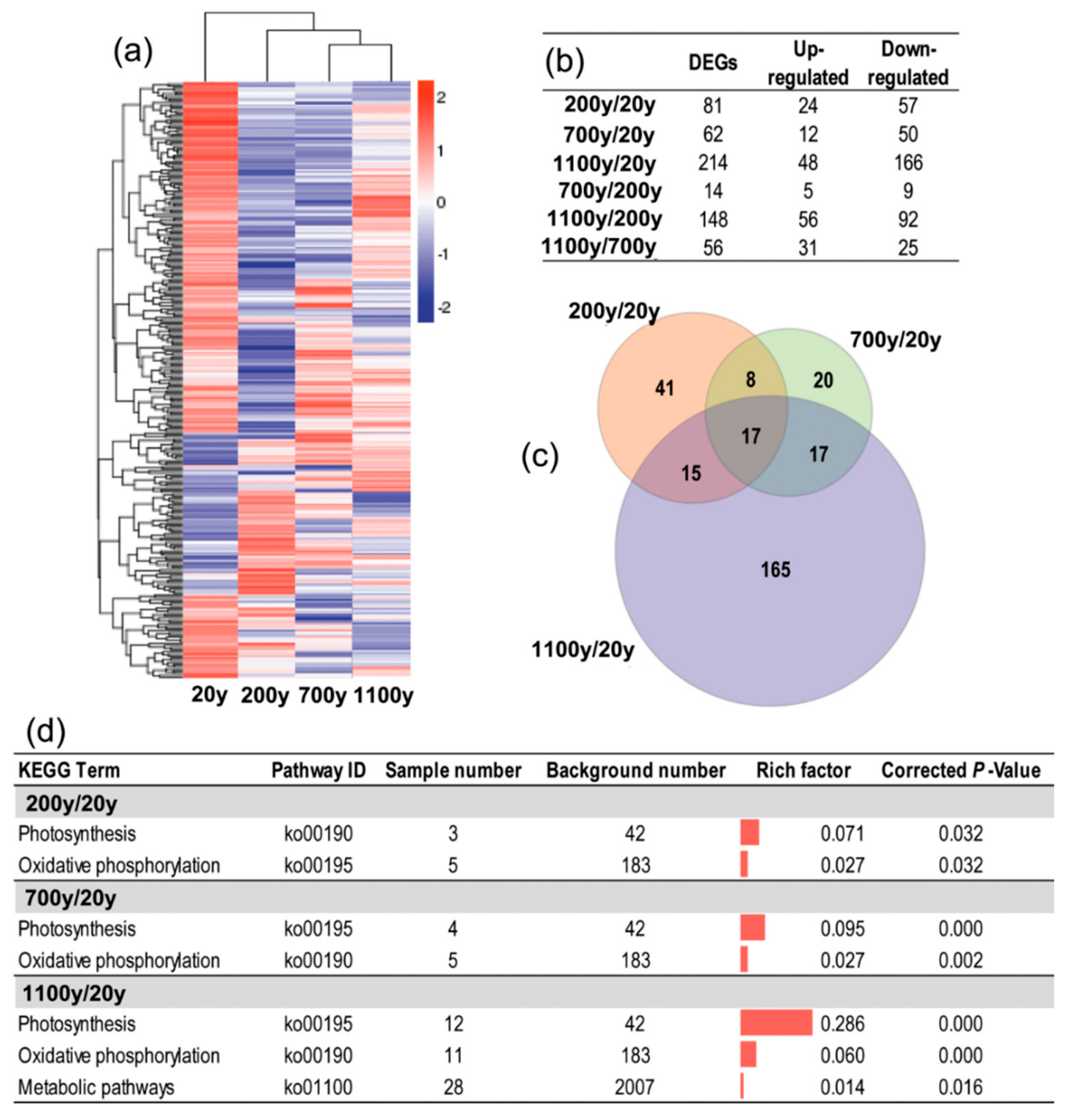 Forests 10 00393 g006