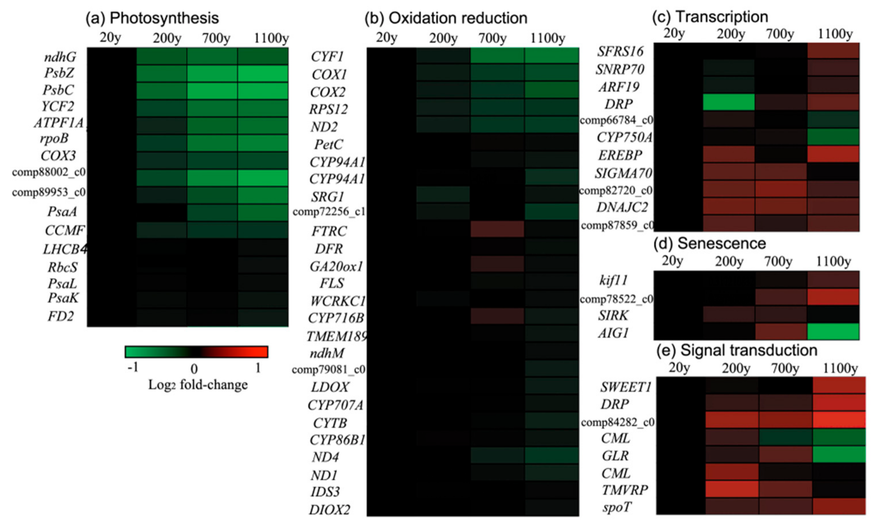Forests 10 00393 g009