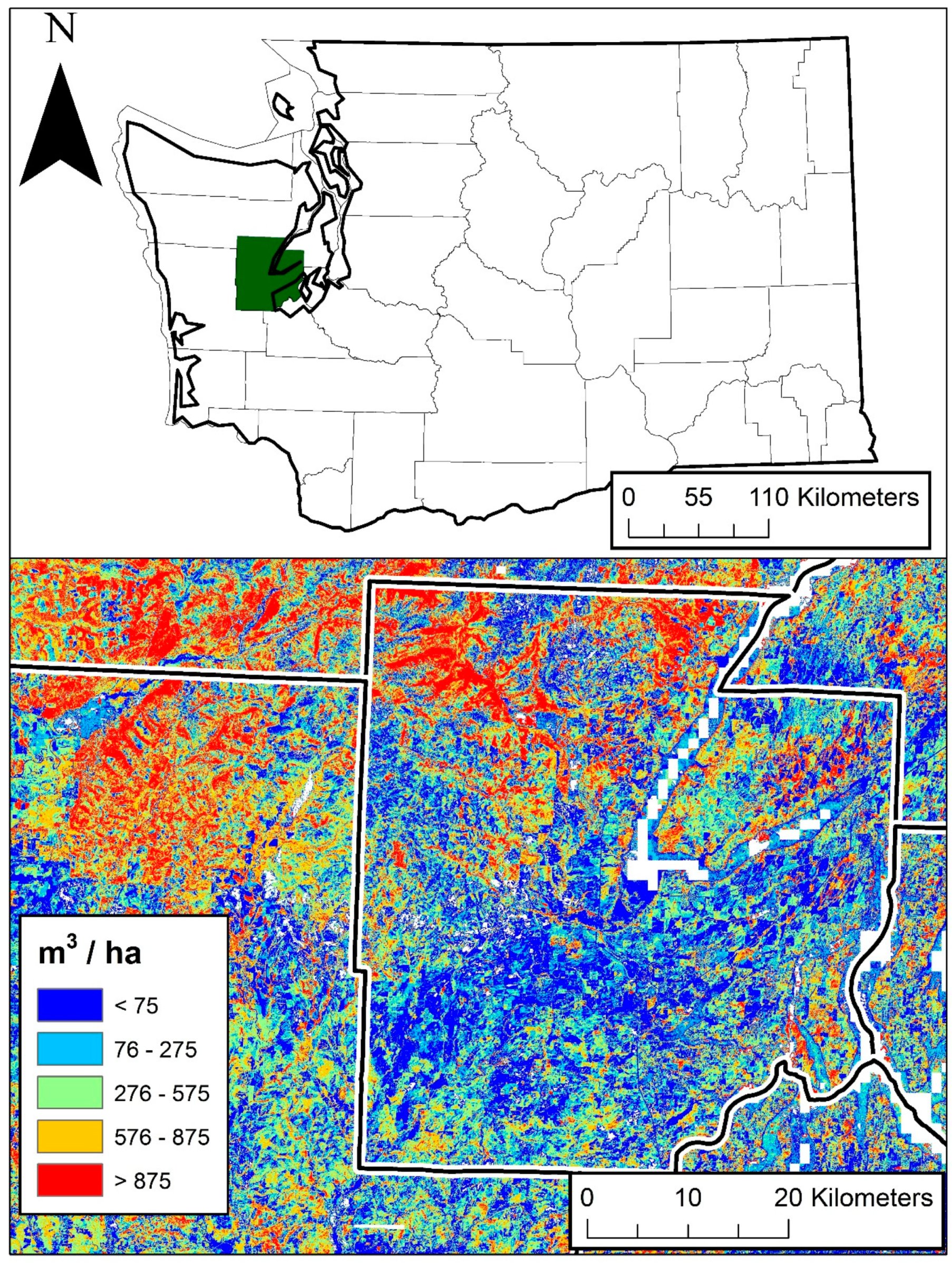 Forests 10 00397 g008 550