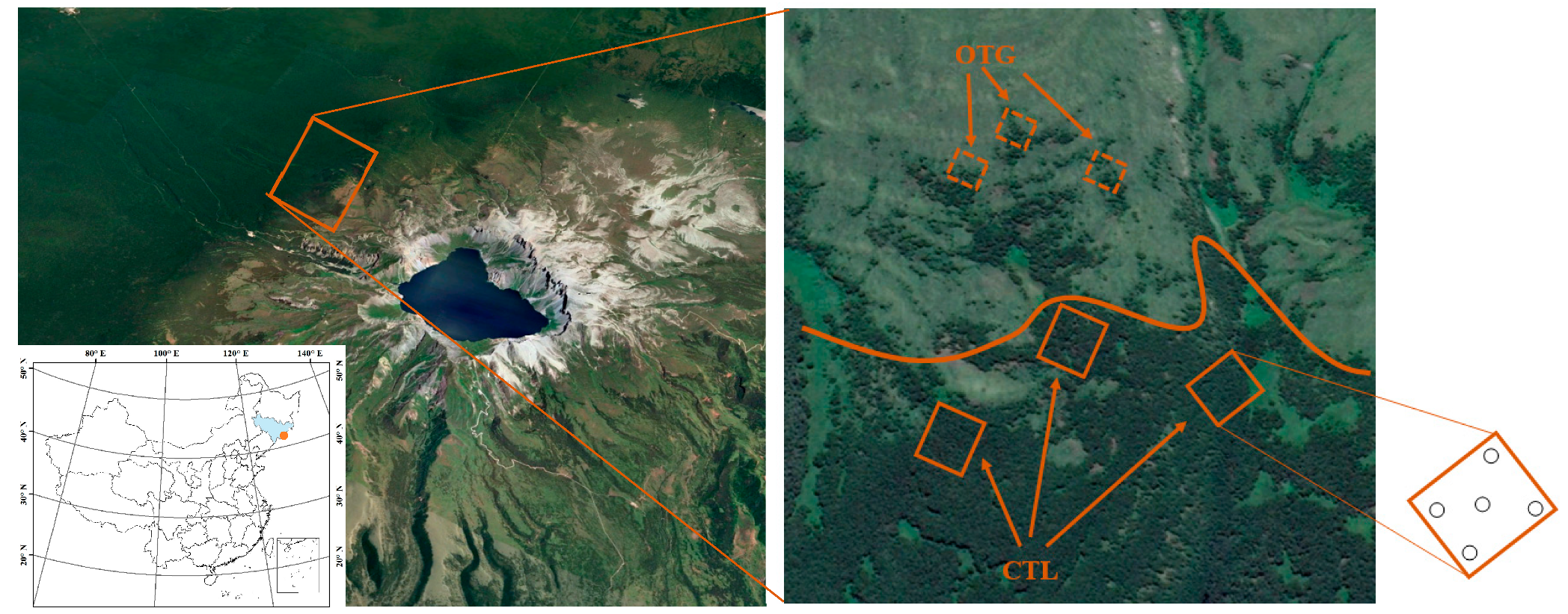 Forests 10 00400 g001