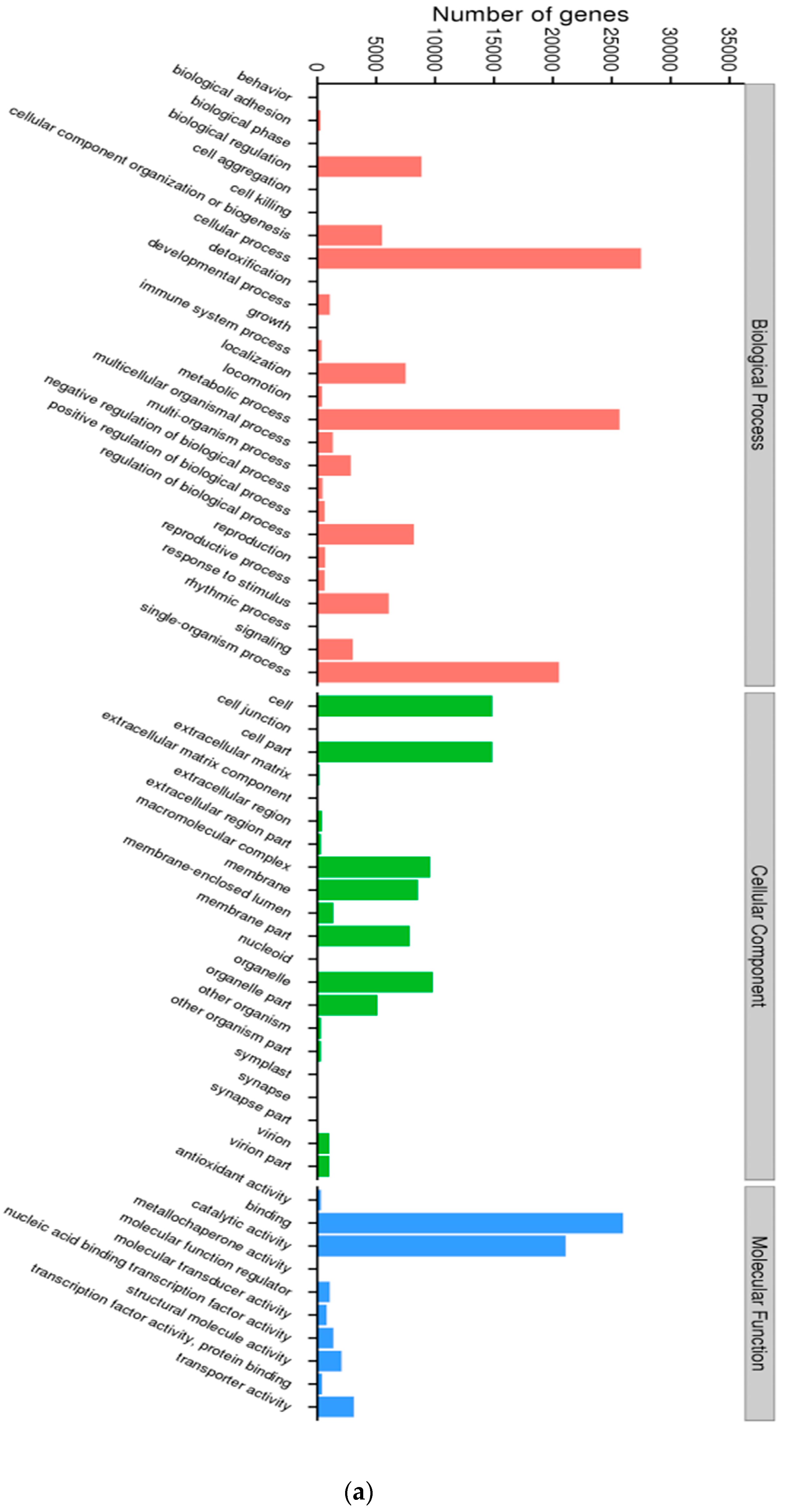 Forests 10 00411 g002a Forests 10 00411 g002a