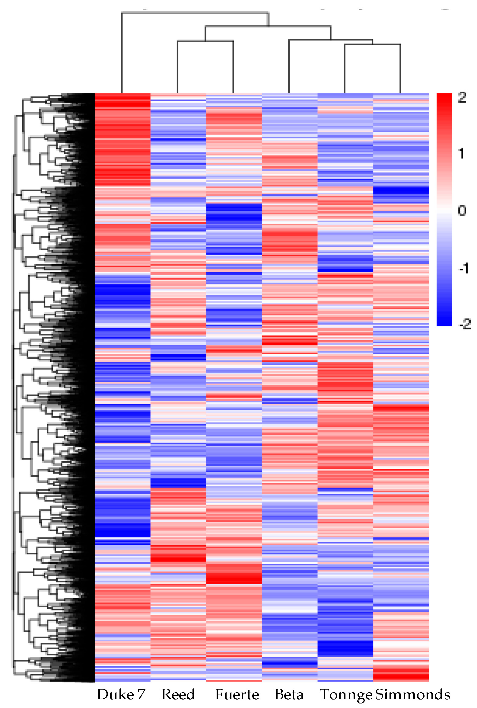 Forests 10 00411 g003 Forests 10 00411 g003