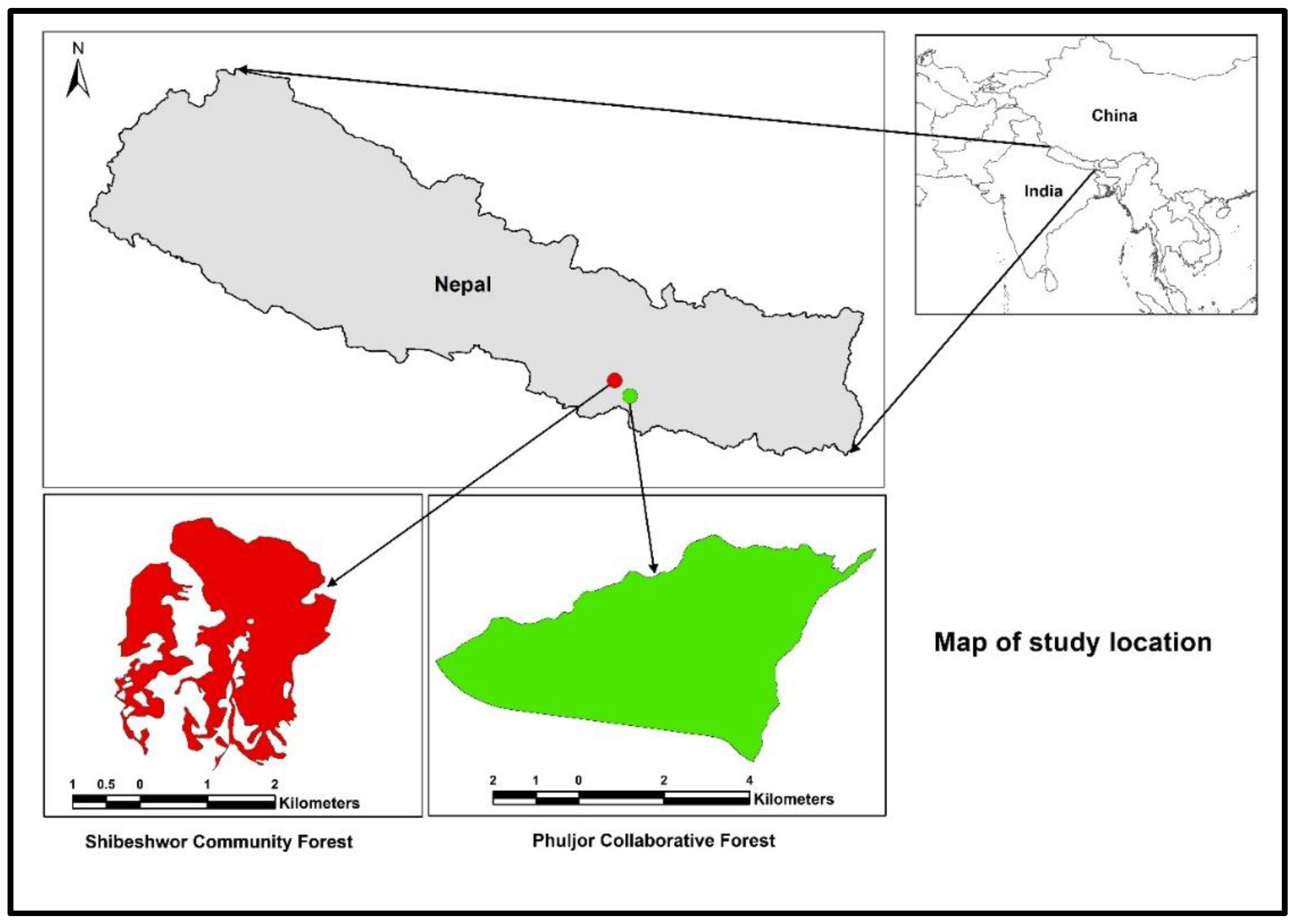 Forests 10 00421 g001 Forests 10 00421 g001