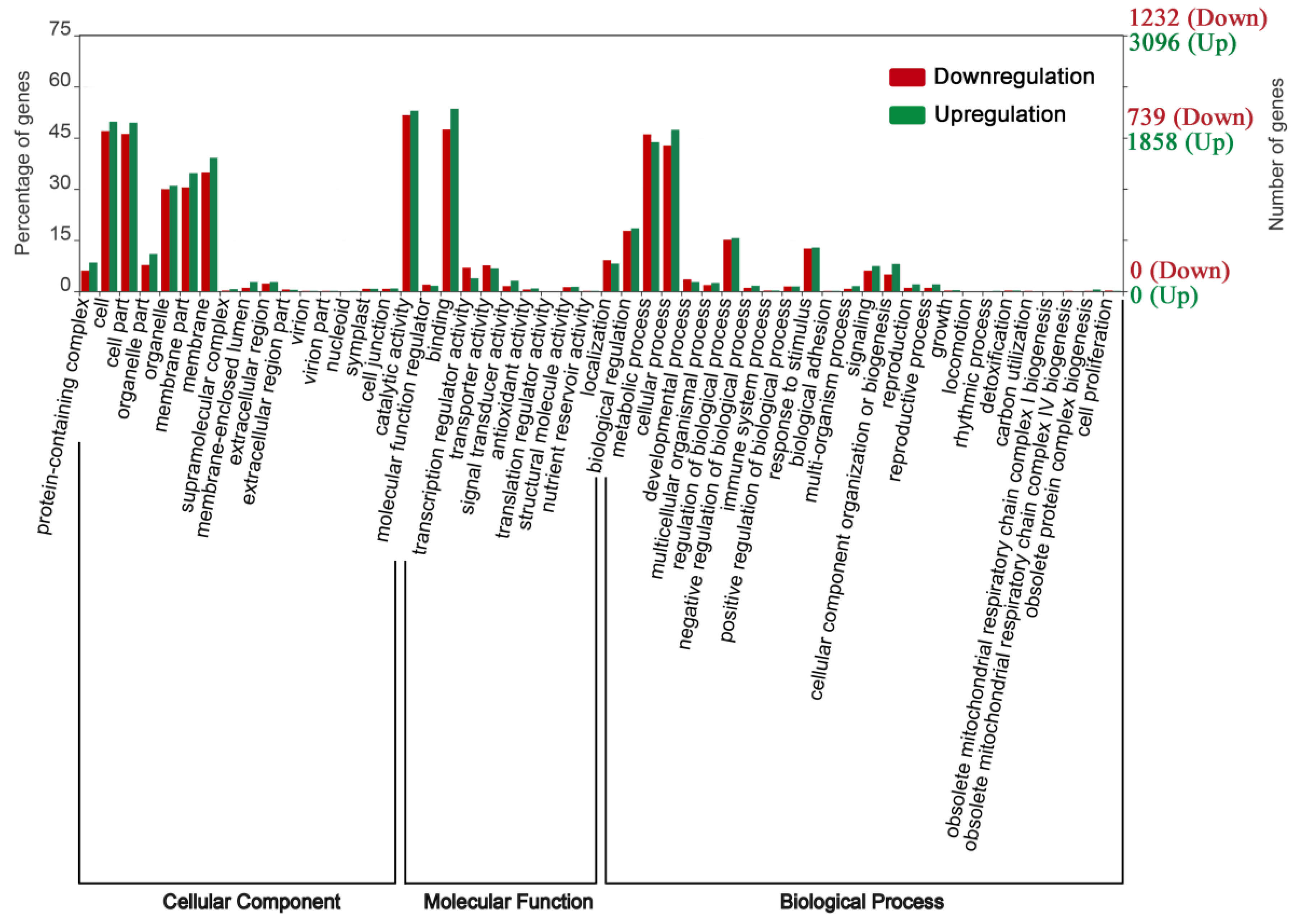 Forests 10 00423 g004