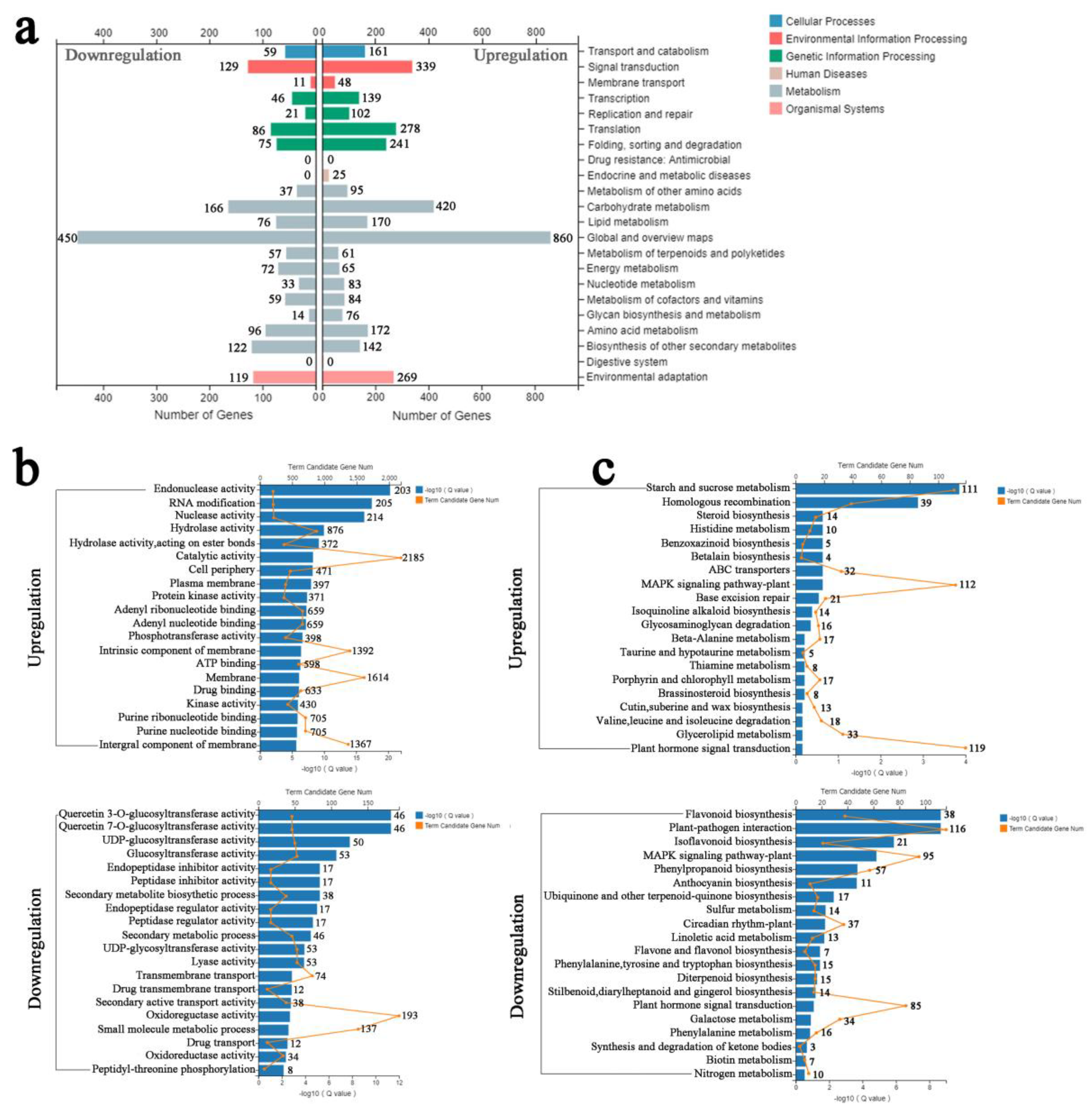 Forests 10 00423 g005