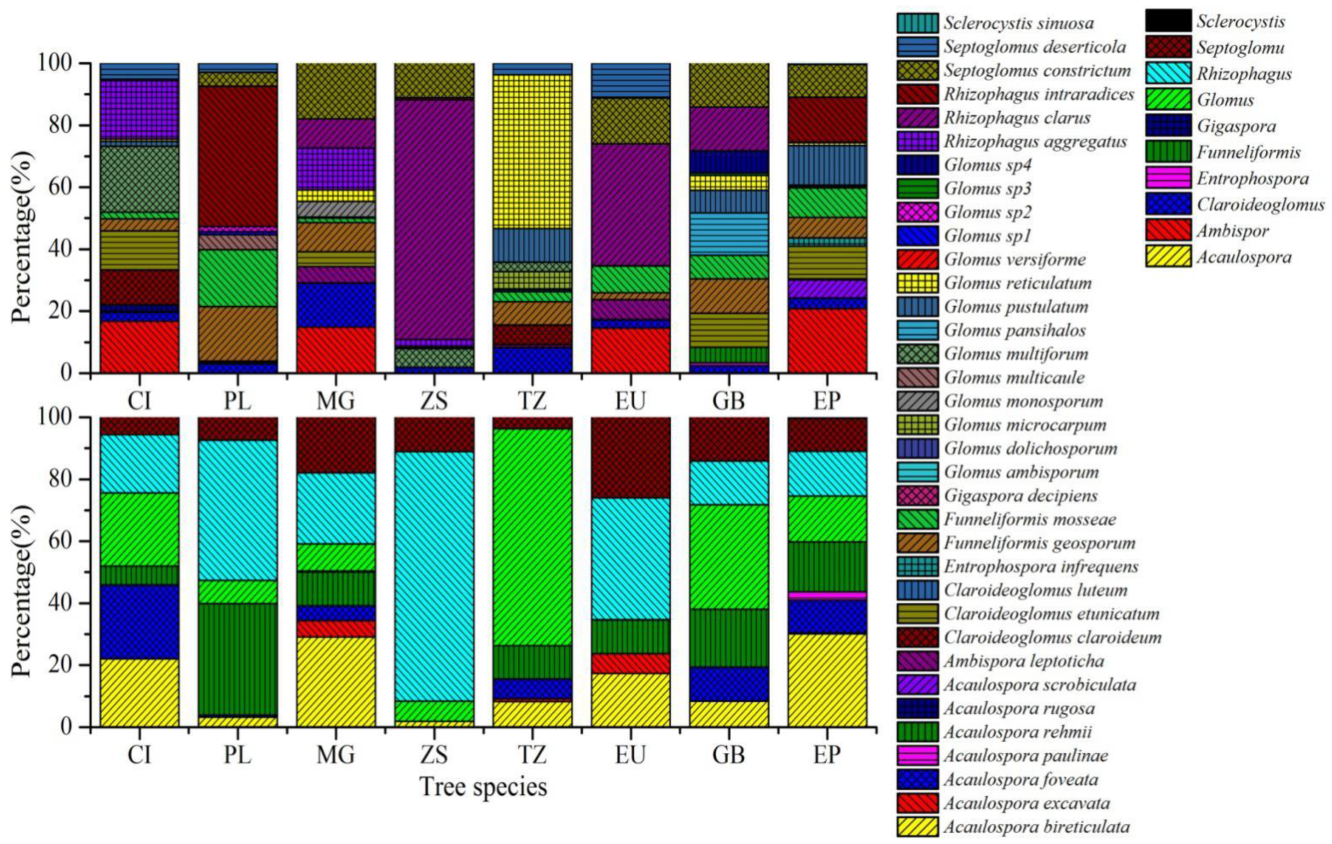 Forests 10 00424 g001 Forests 10 00424 g001
