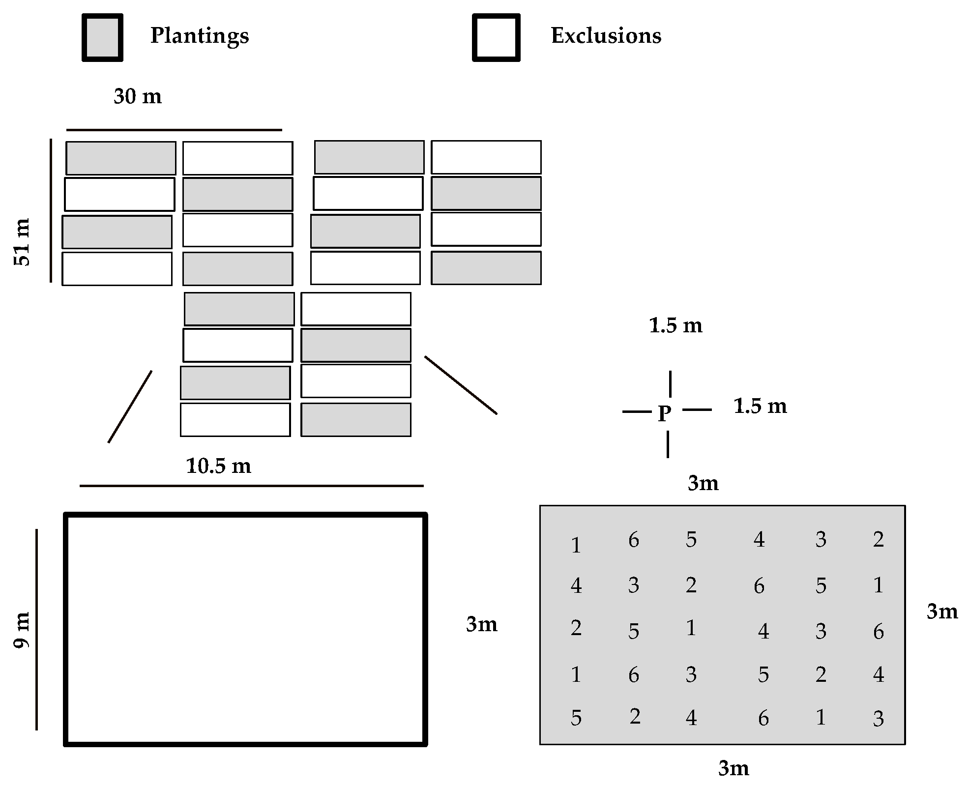 Forests 10 00428 g001 Forests 10 00428 g001