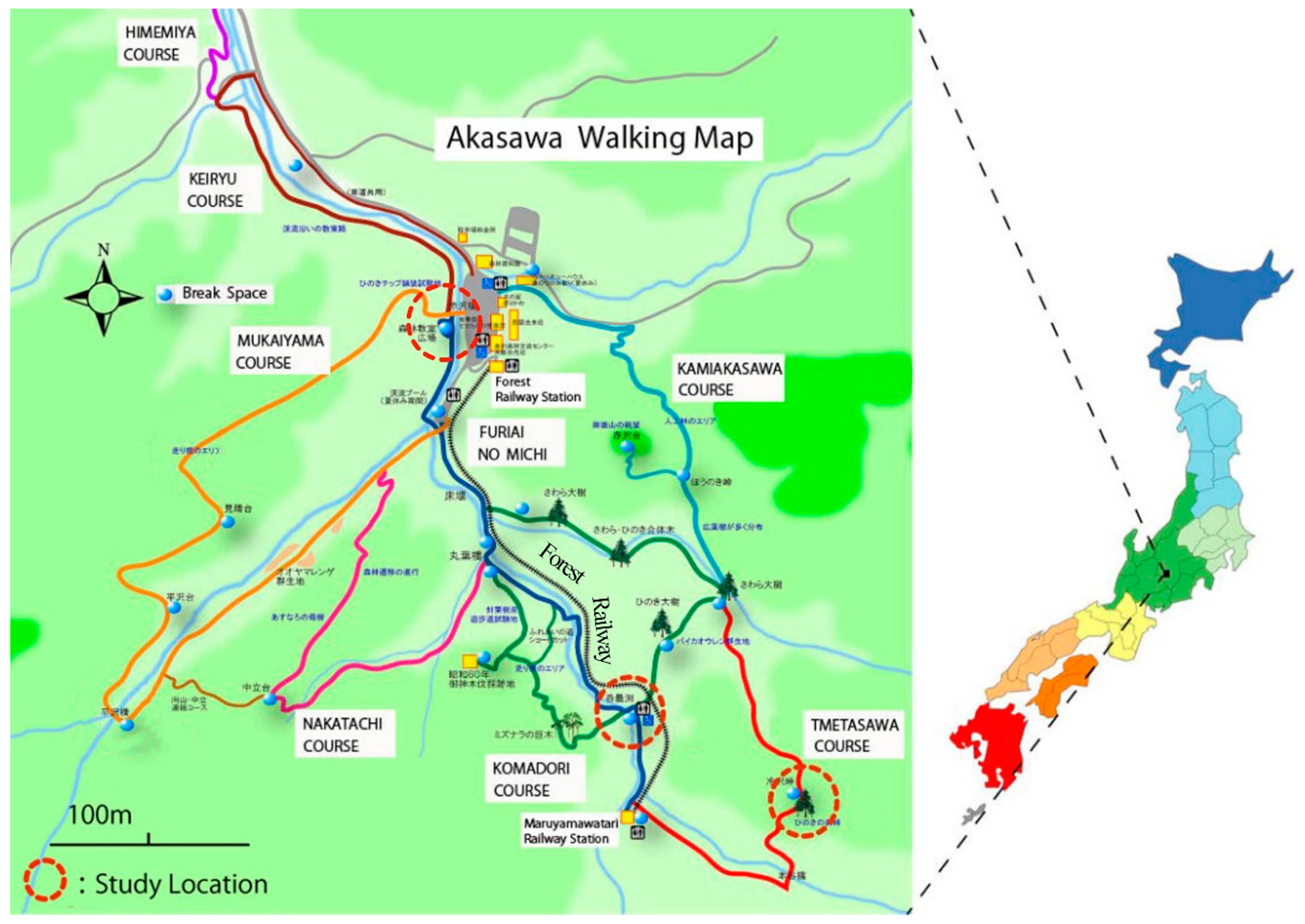 Forests 10 00431 g001