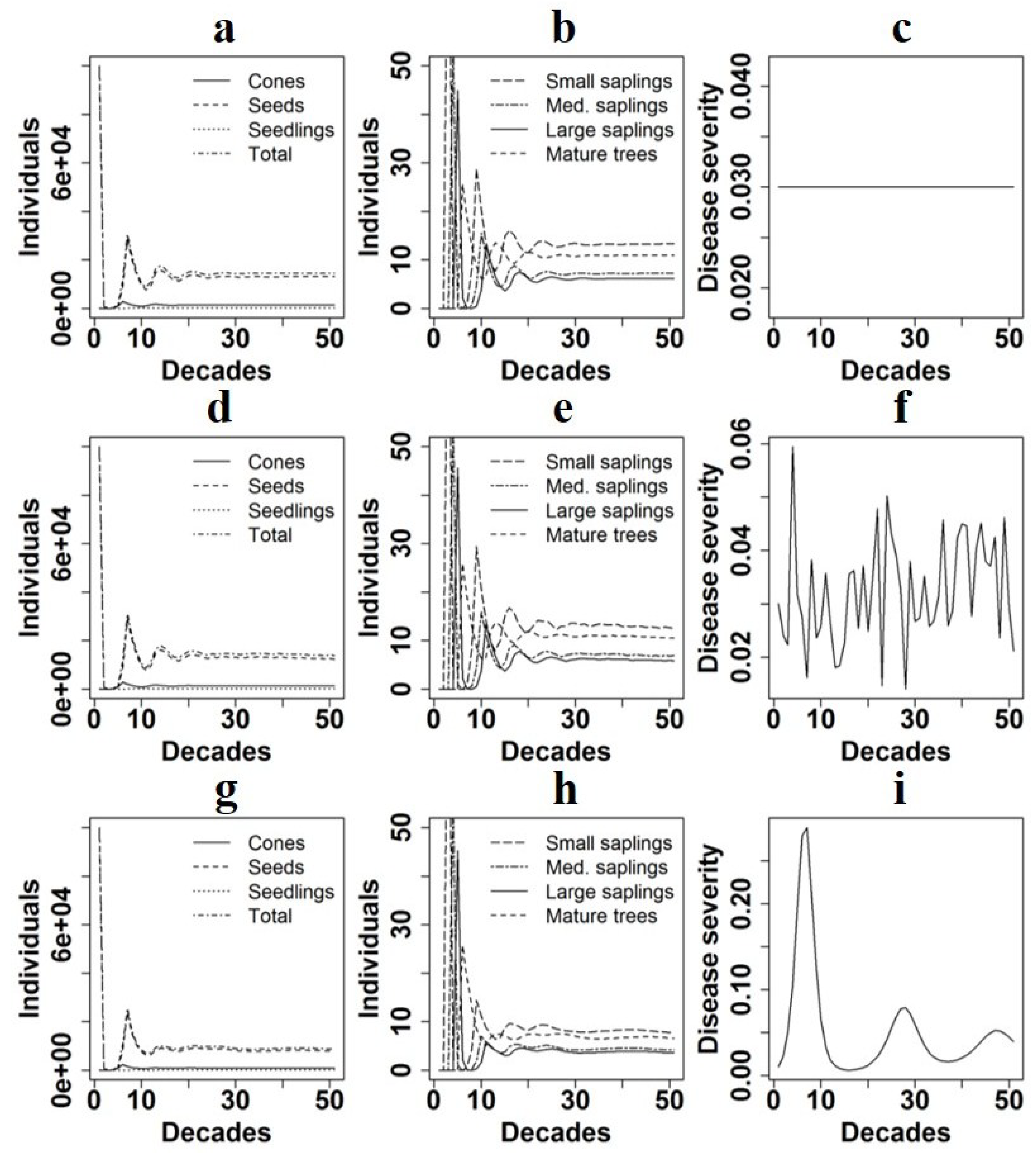 Forests 10 00437 g001