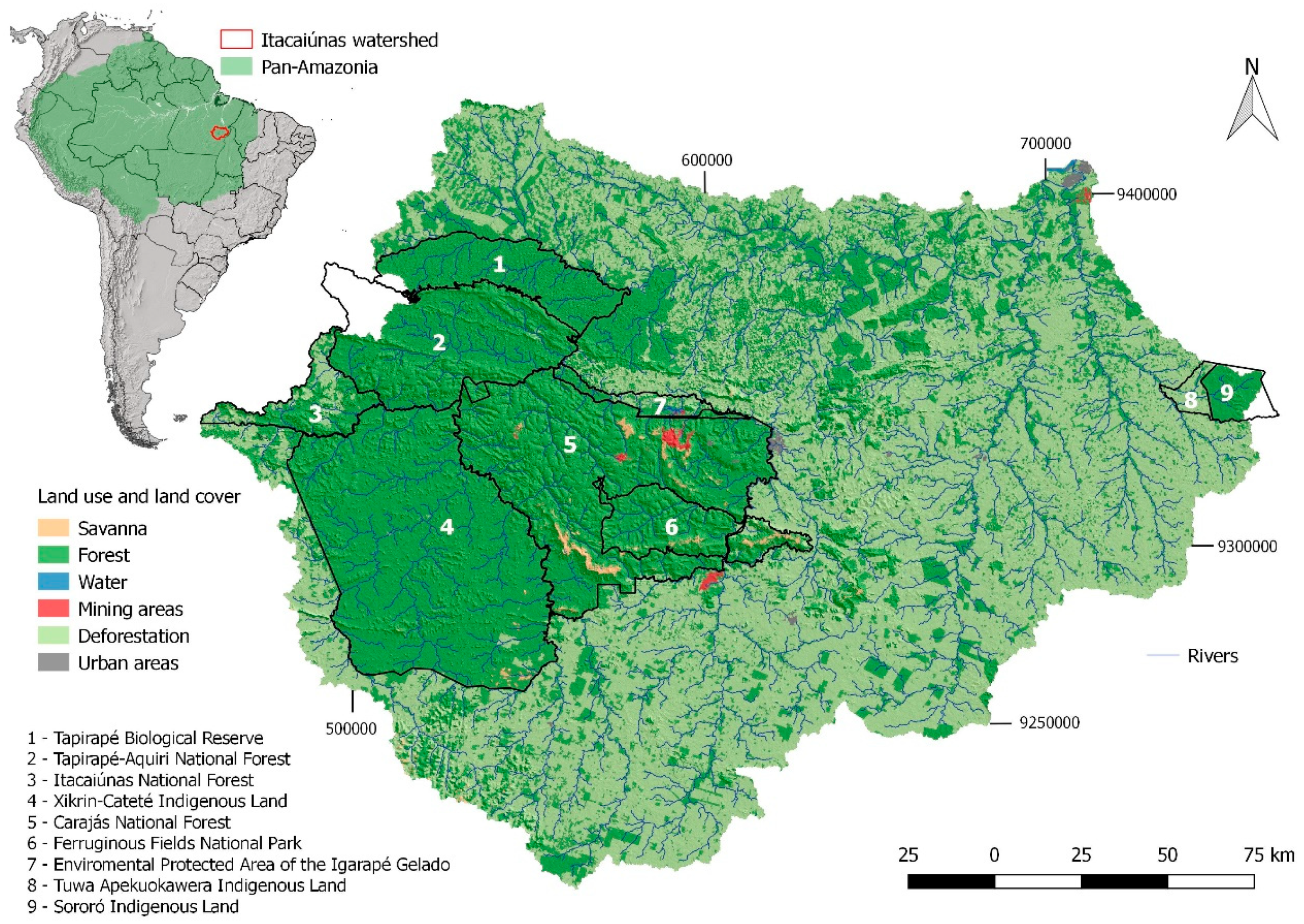 Forests 10 00439 g001 Forests 10 00439 g001