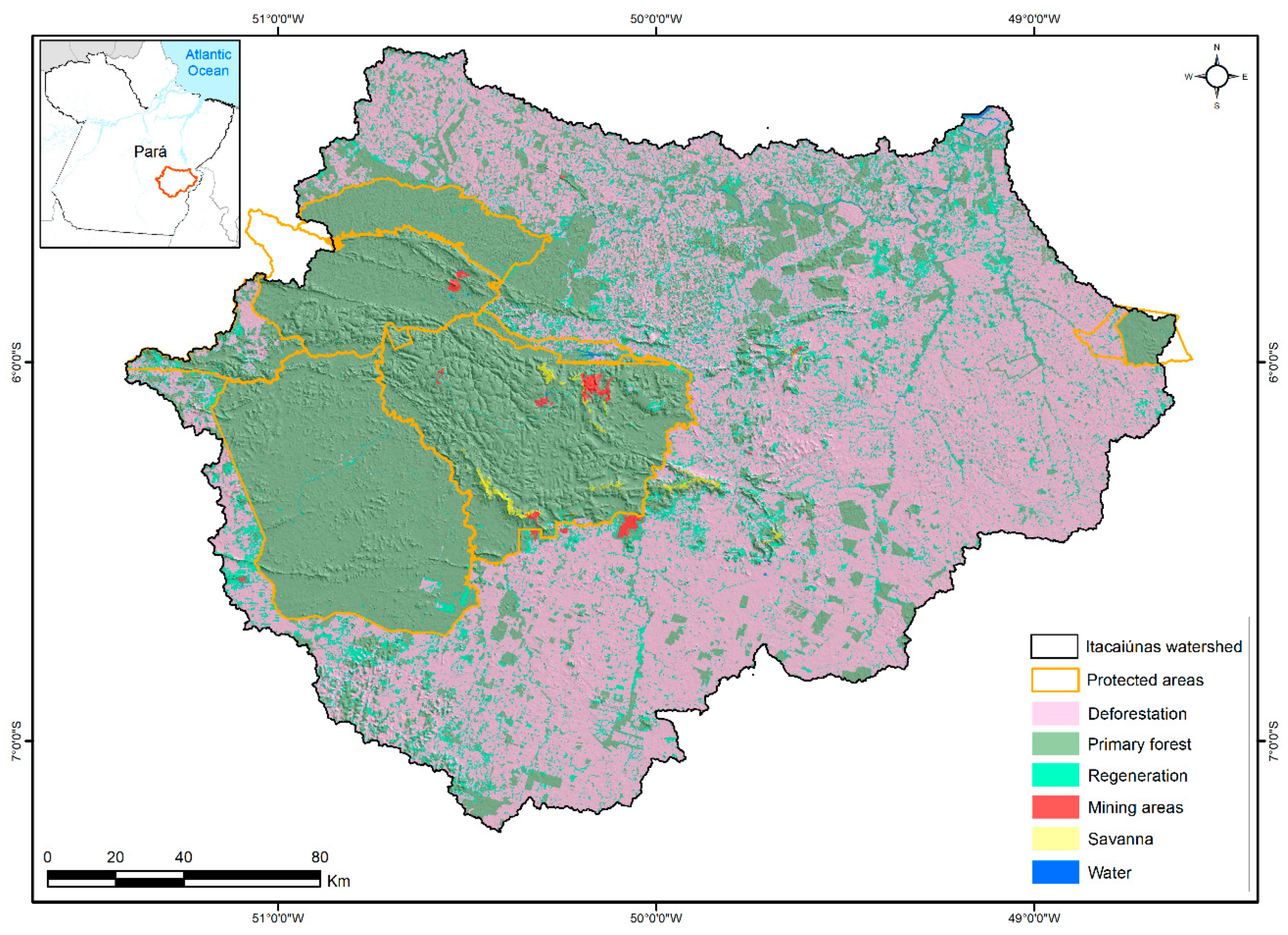Forests 10 00439 g004 Forests 10 00439 g004