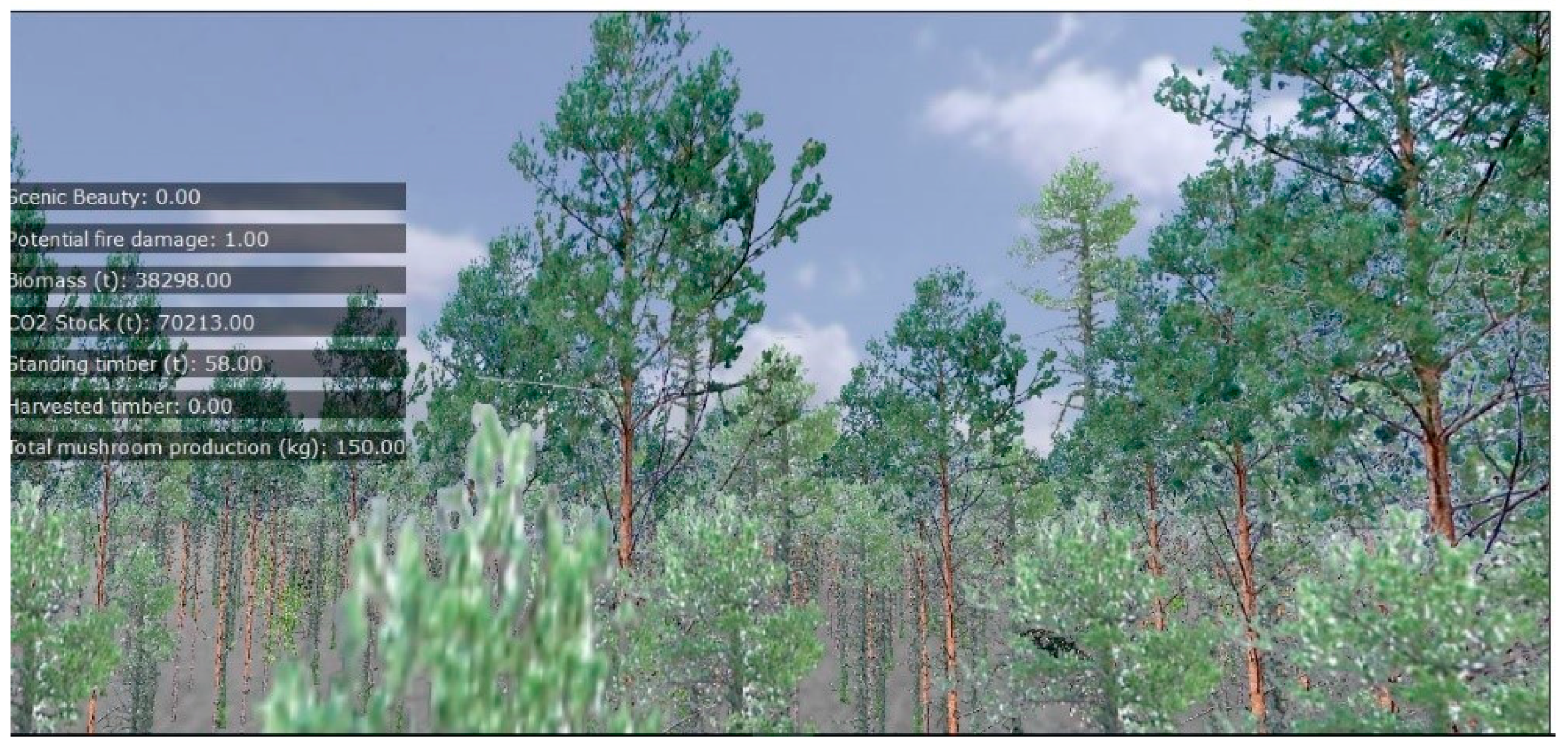 Forests 10 00440 g010