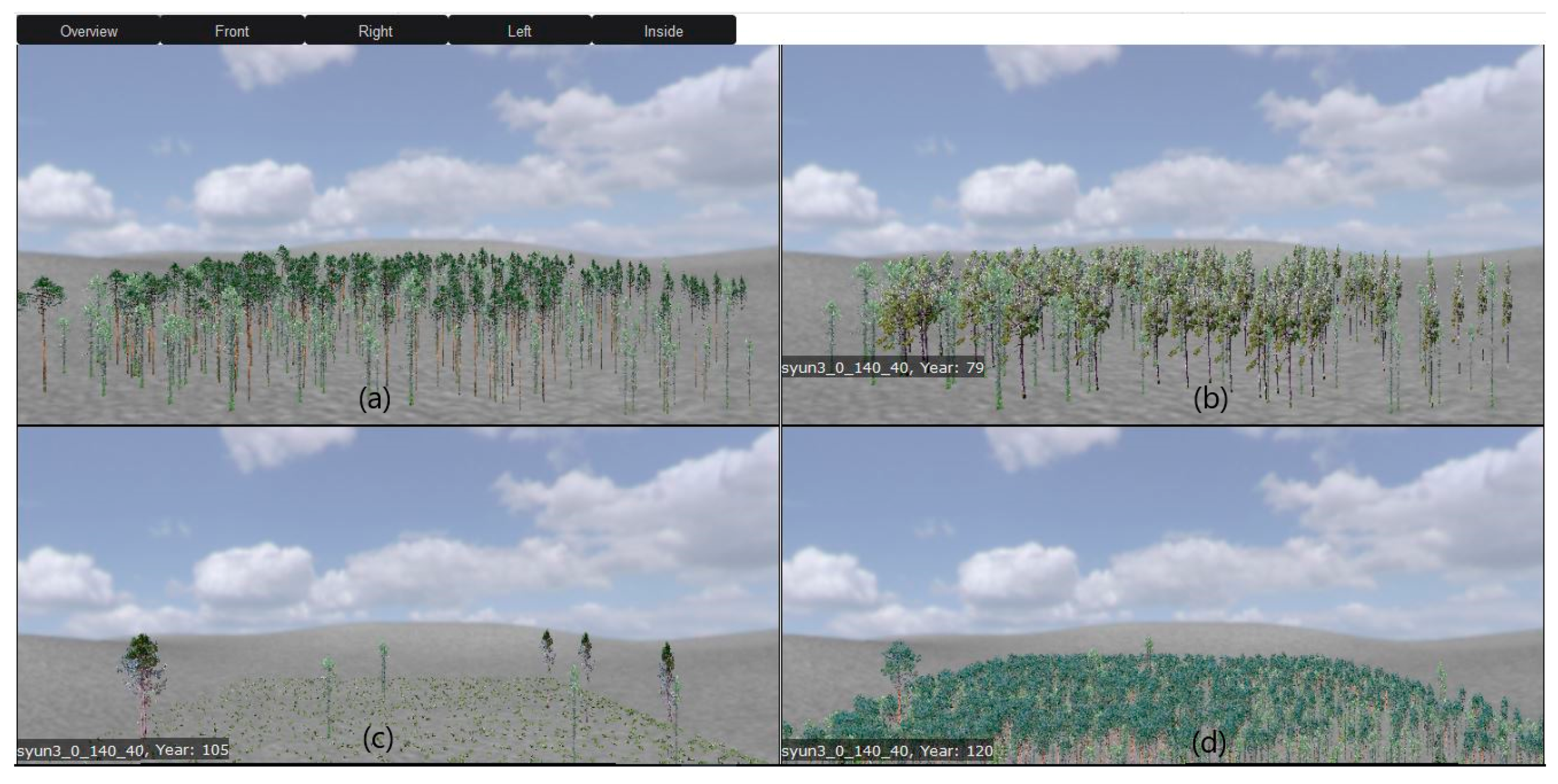 Forests 10 00440 g011