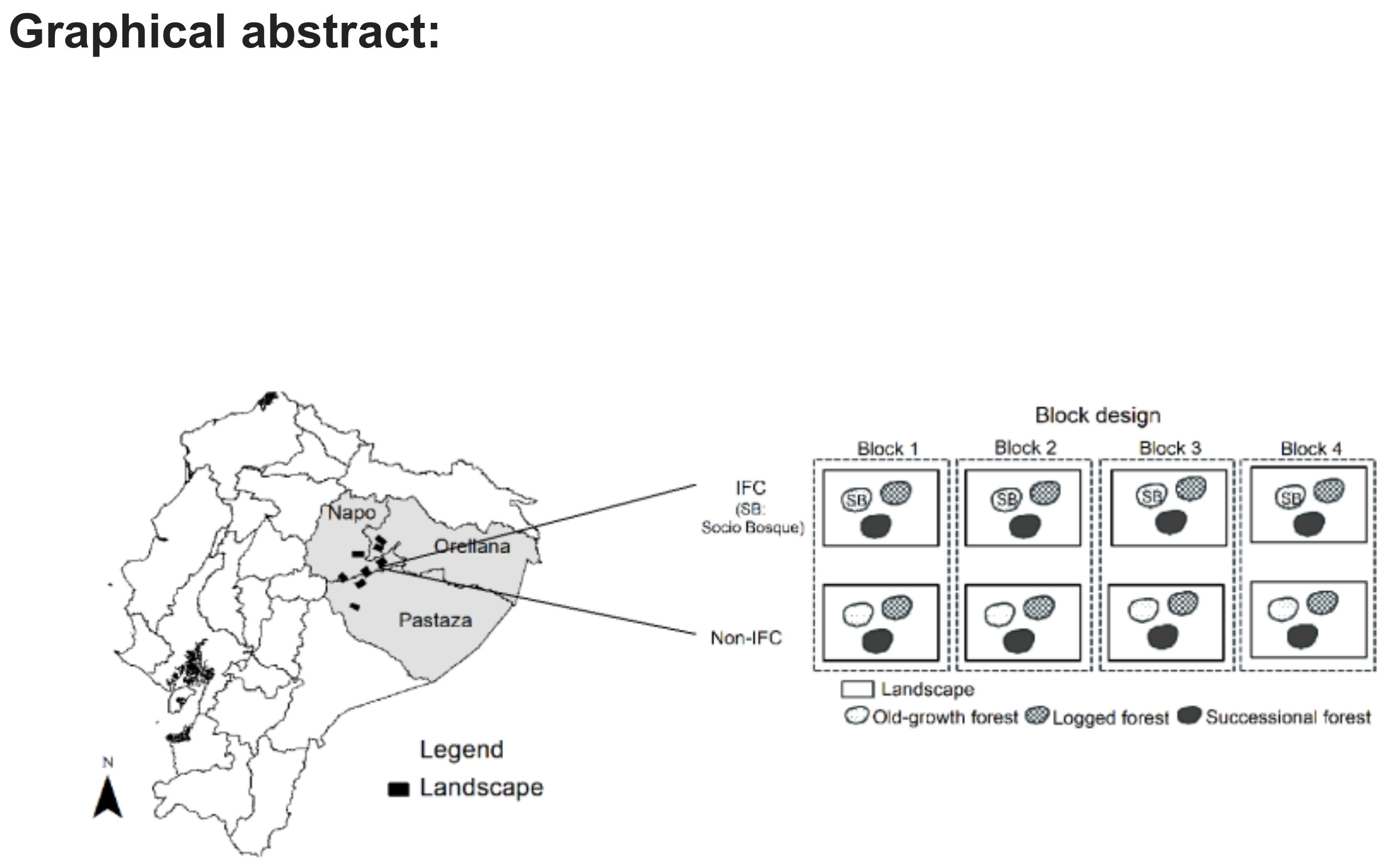 ecuador deforestation solutions problems in ecuador