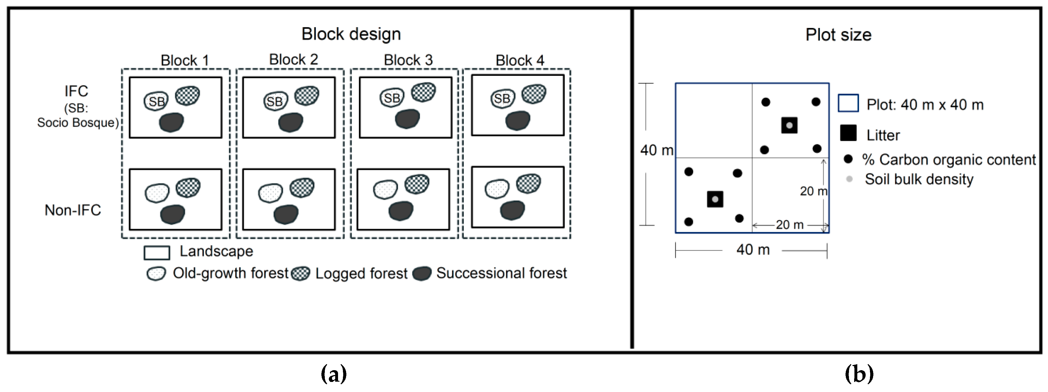 Forests 10 00442 g002