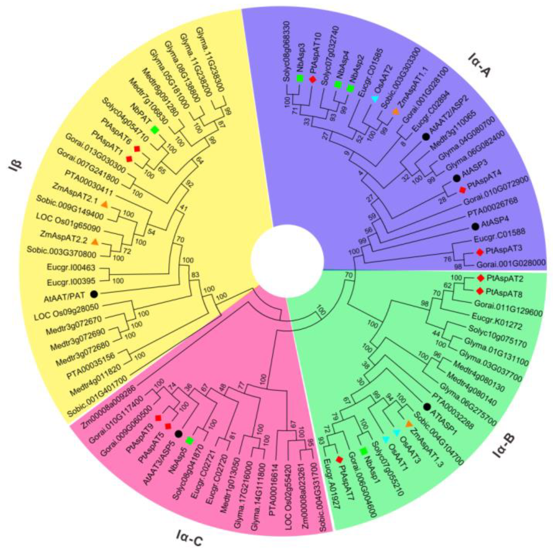 Forests 10 00449 g001 Forests 10 00449 g001
