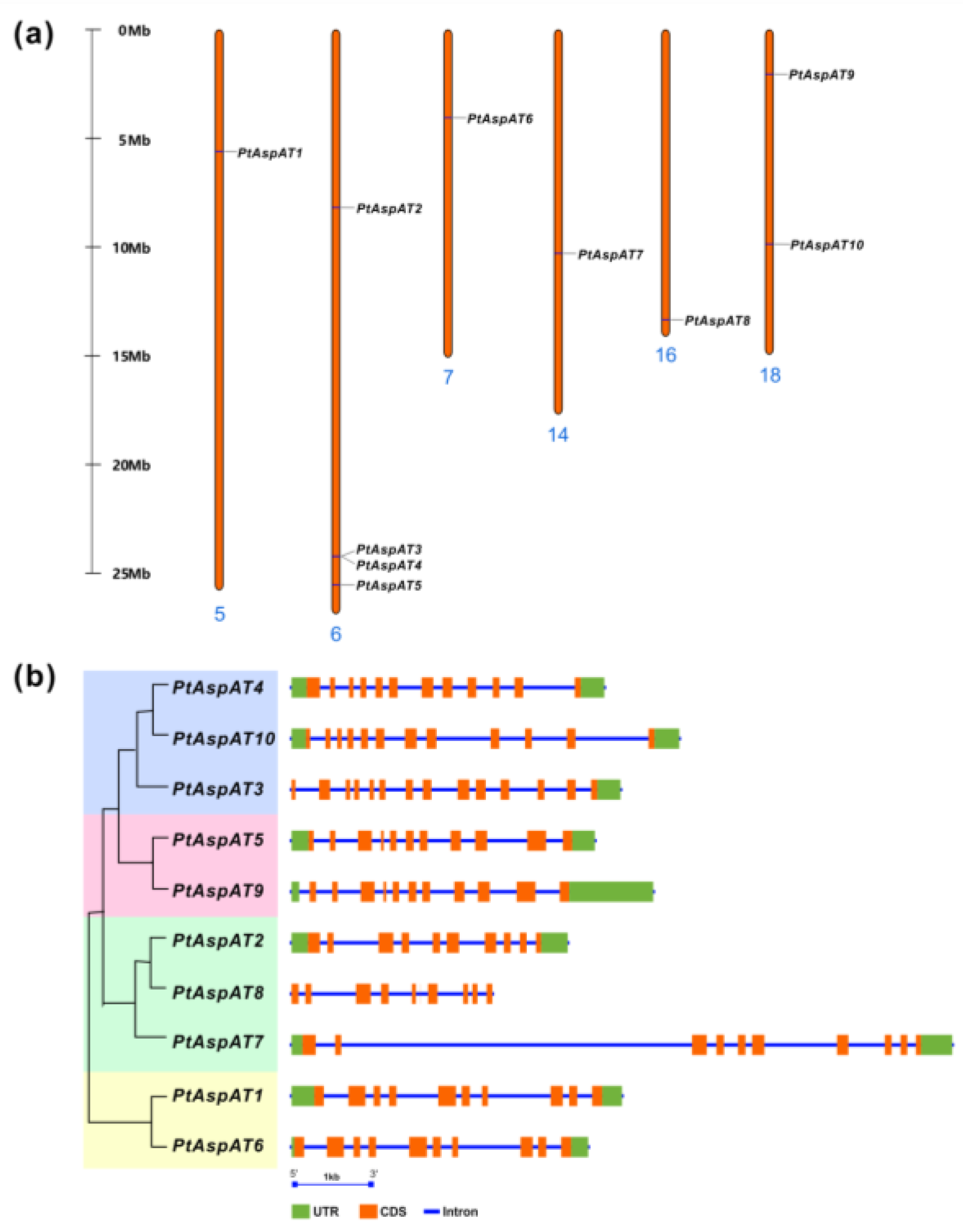 Forests 10 00449 g002 Forests 10 00449 g002