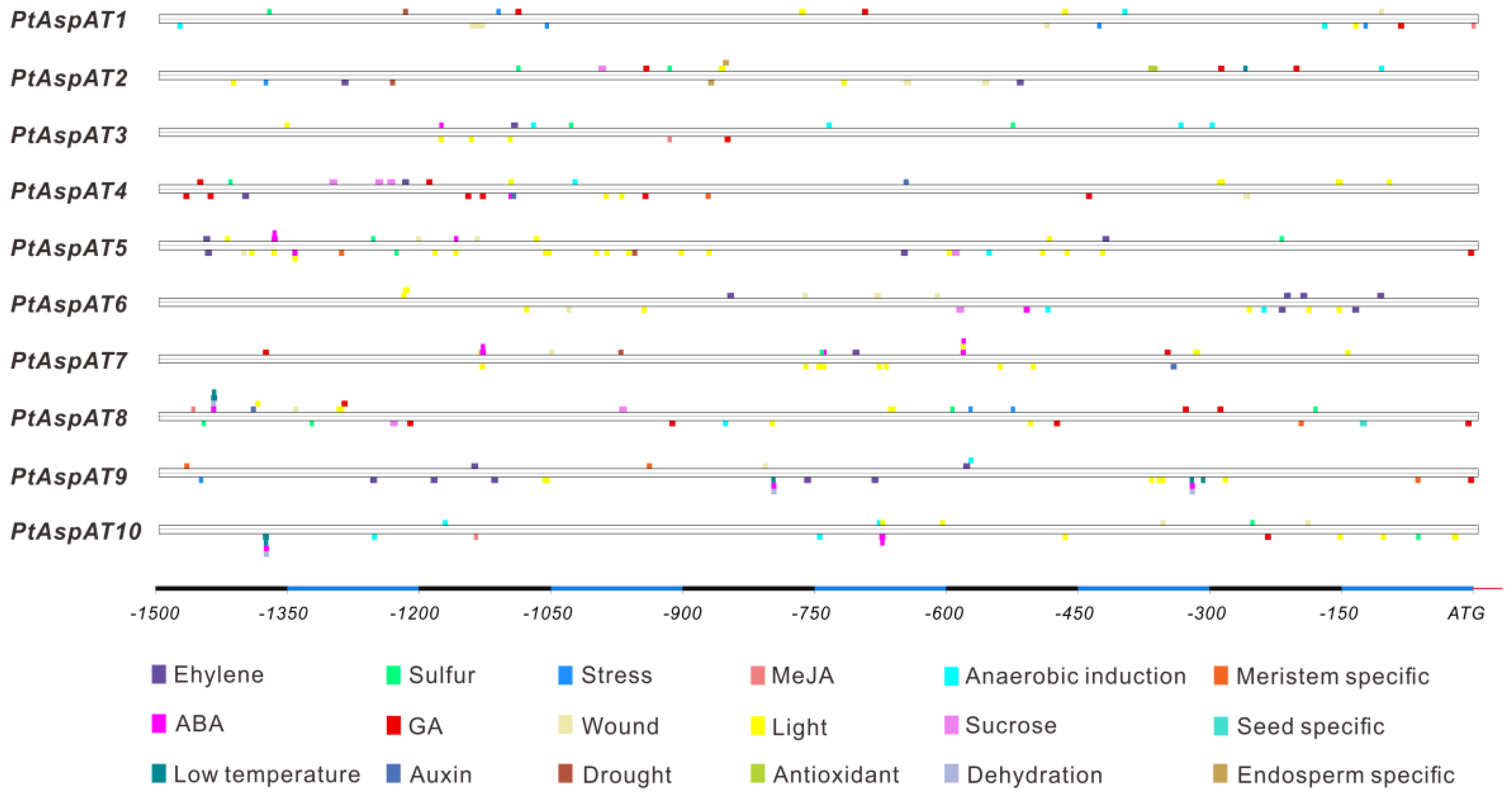 Forests 10 00449 g003 Forests 10 00449 g003