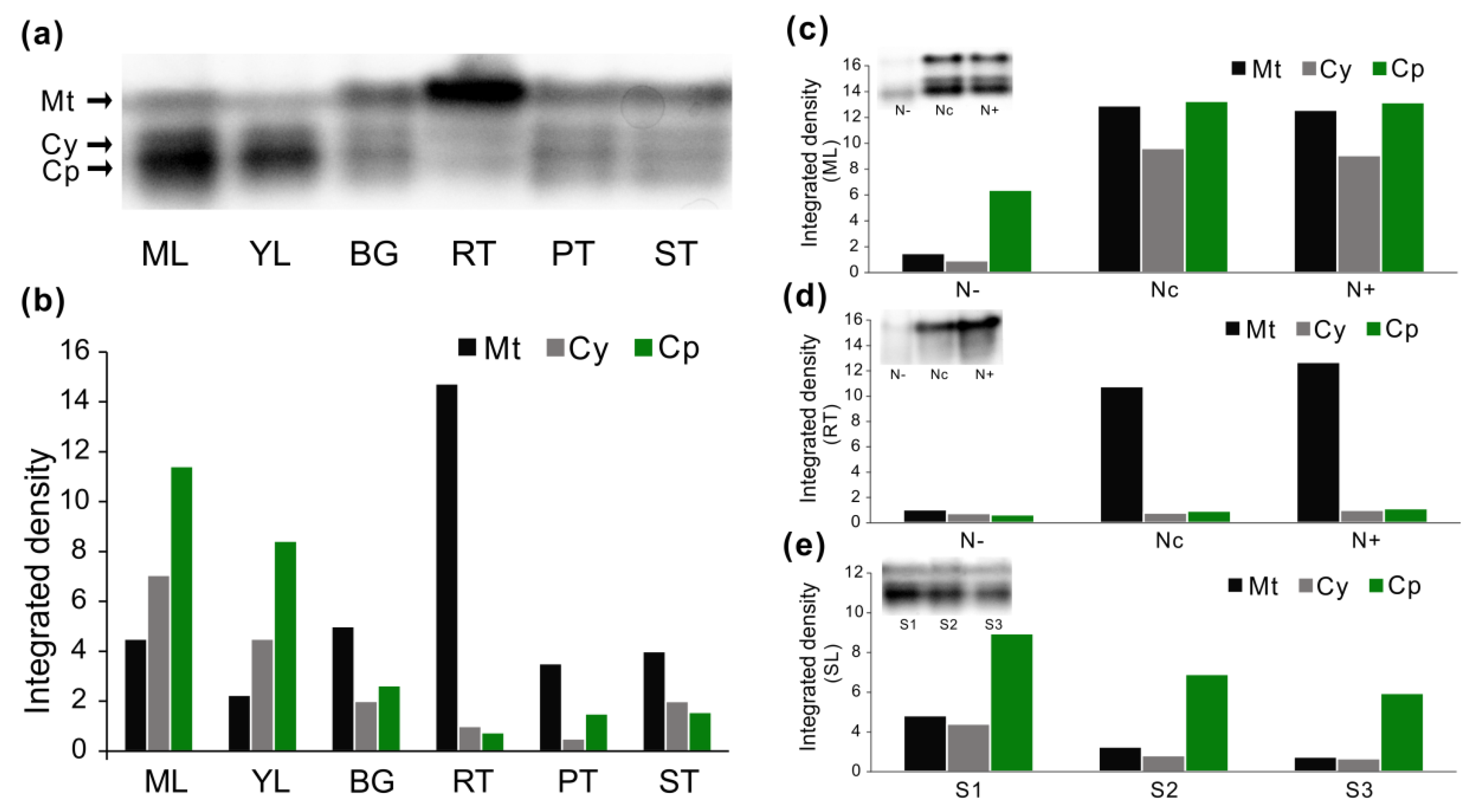 Forests 10 00449 g008 Forests 10 00449 g008
