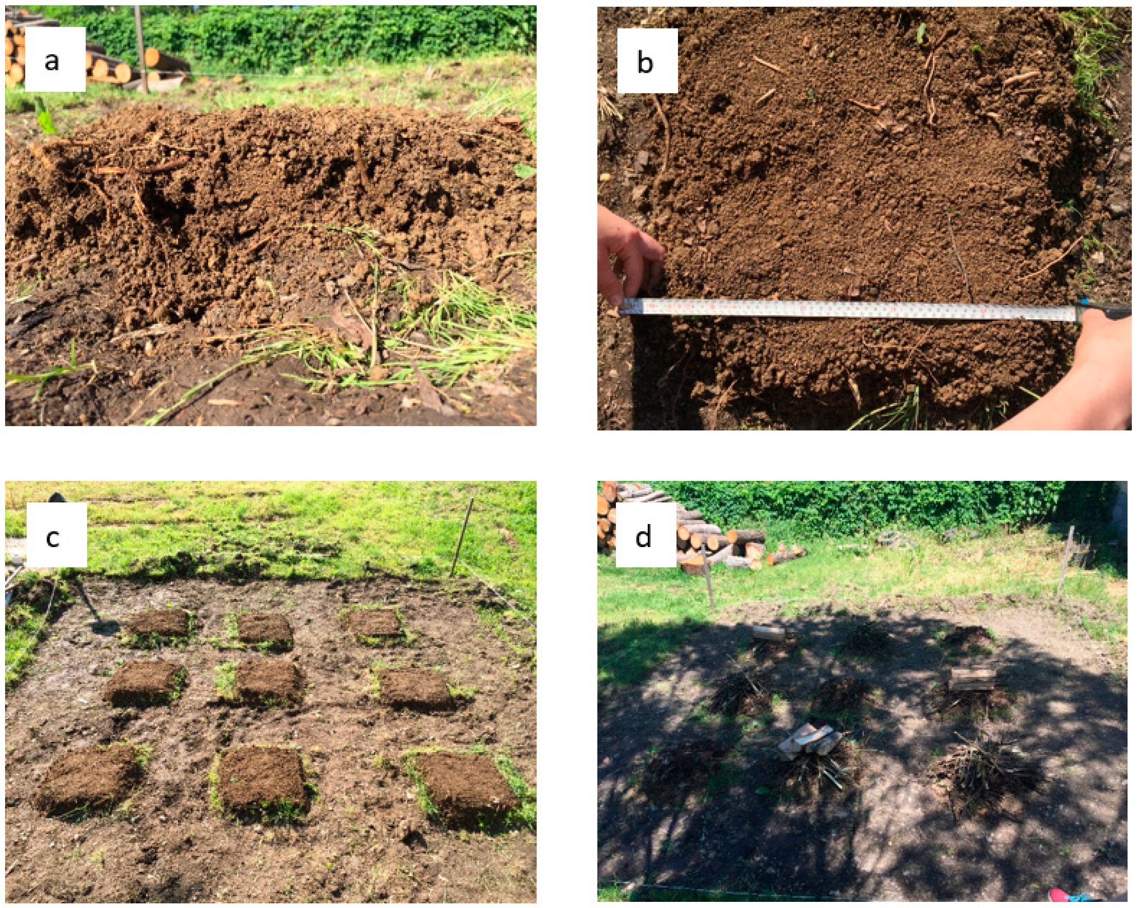 Forests 10 00453 g003