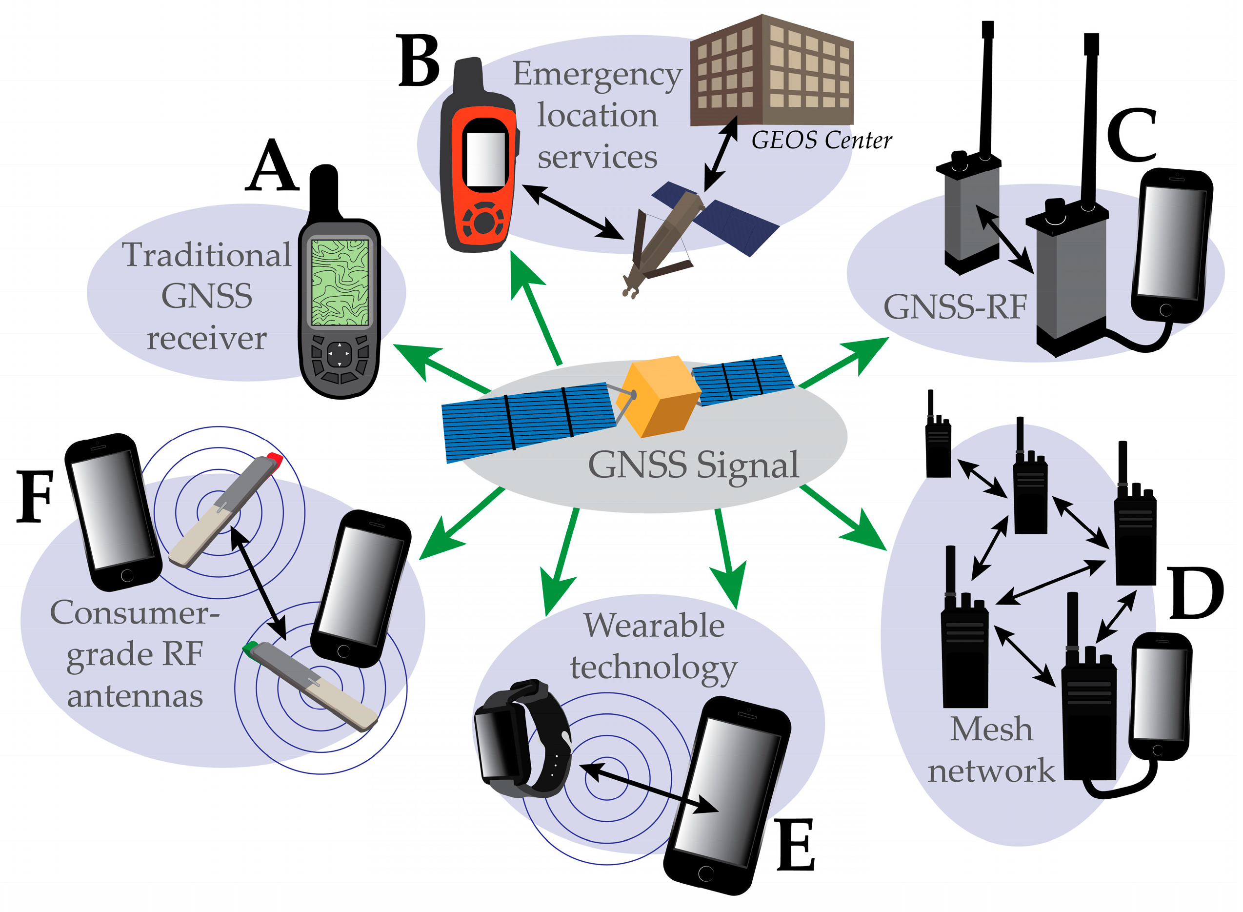 Forests 10 00458 g002