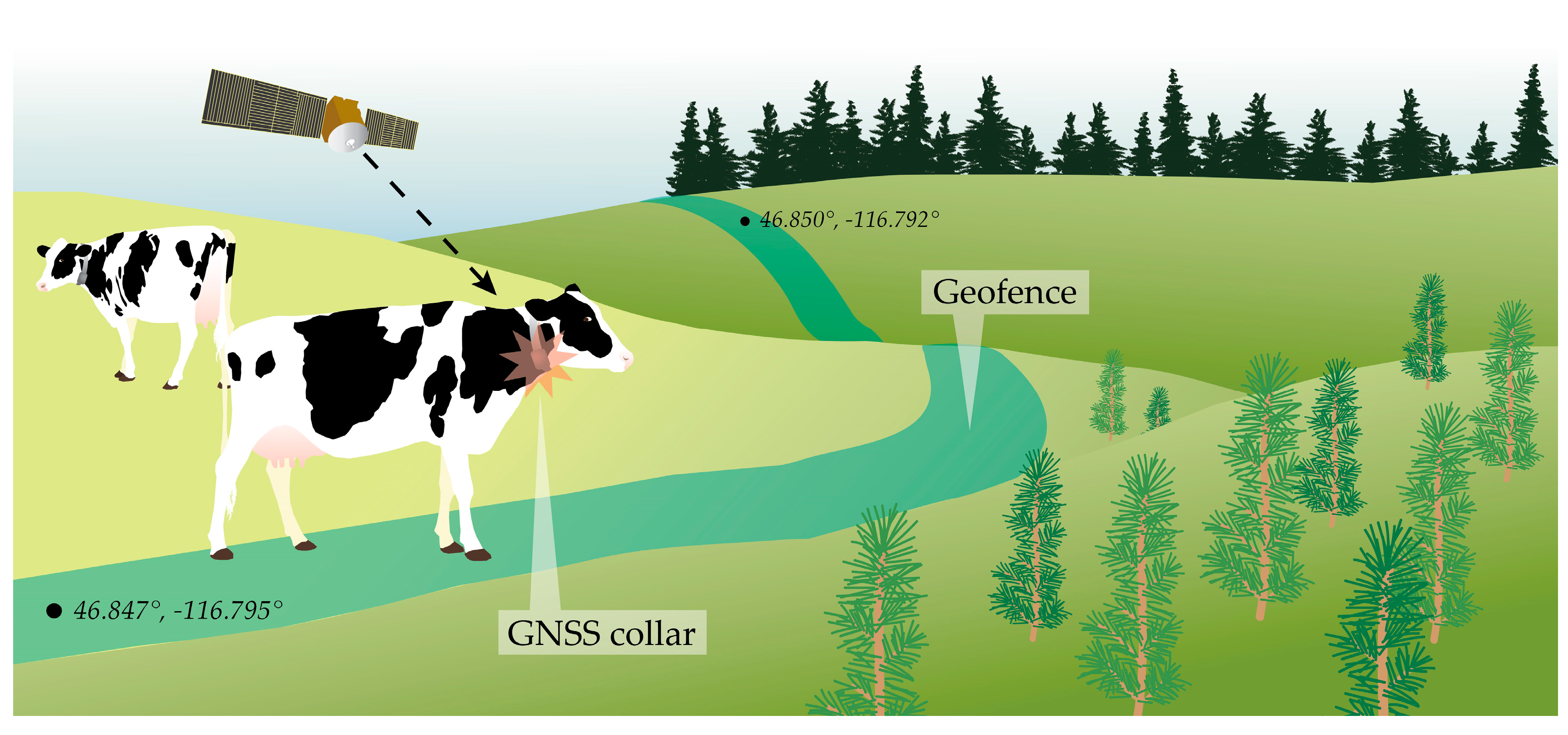 Forests Free Full Text Positioning Methods And The Use Of Location And Activity Data In Forests Html