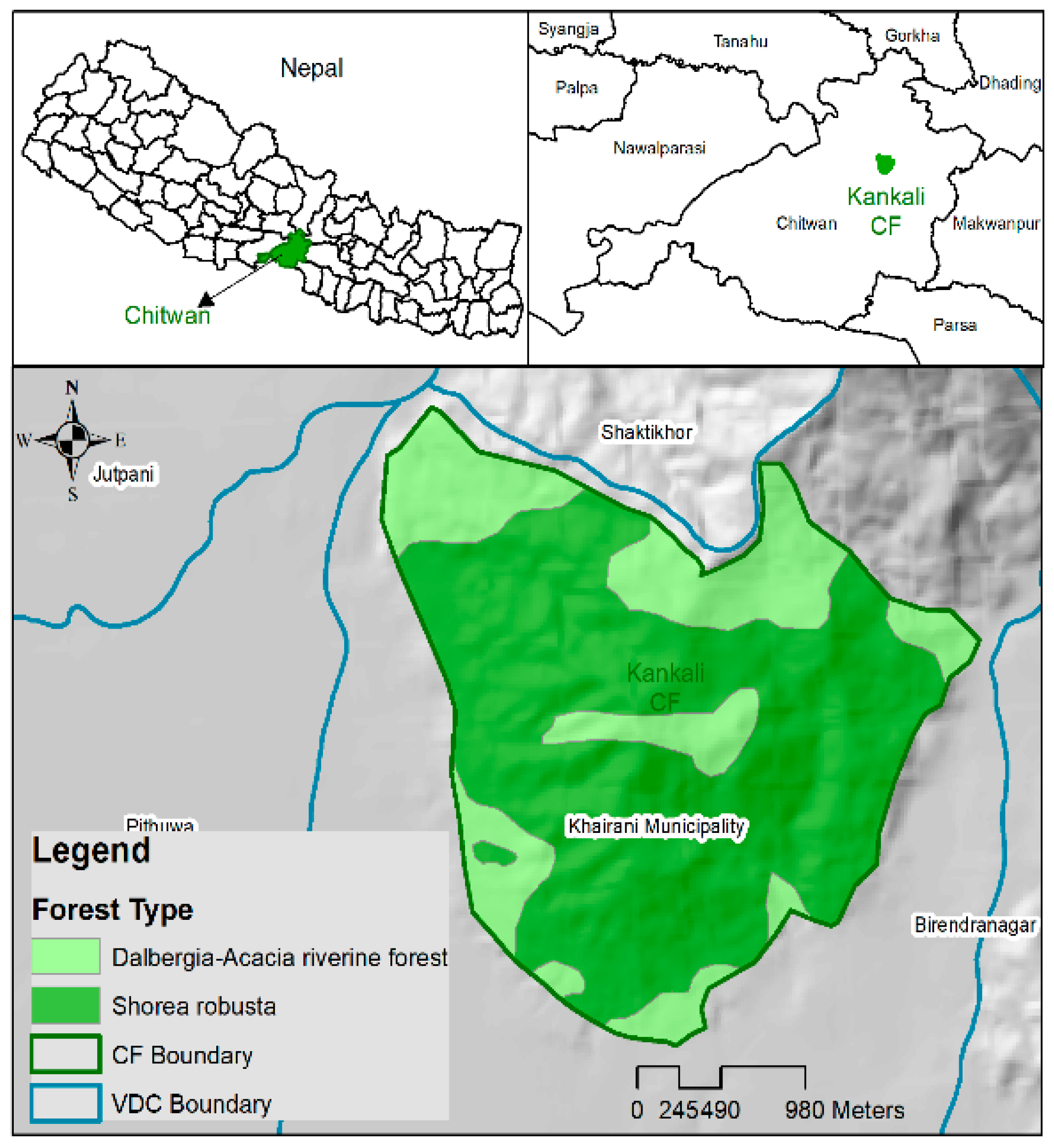 Forests 10 00466 g001 Forests 10 00466 g001
