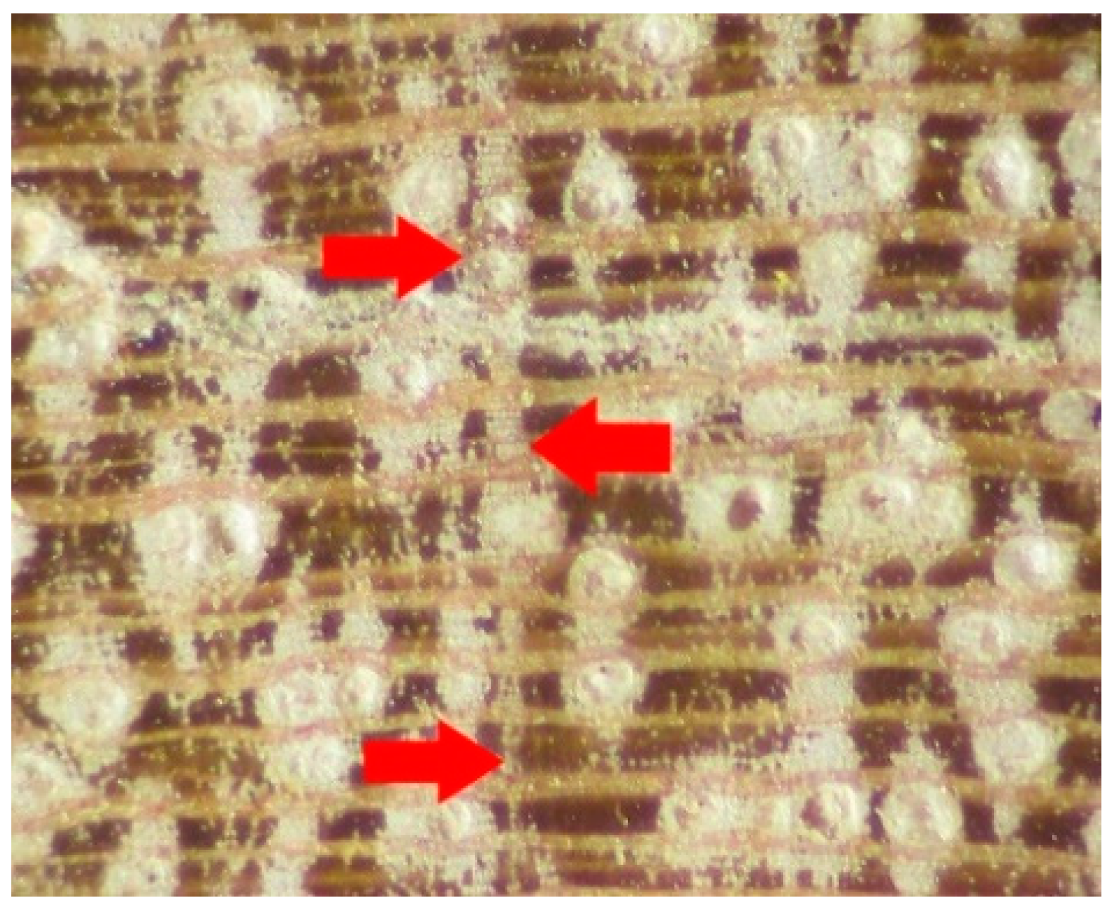 Forests 10 00466 g011 Forests 10 00466 g011