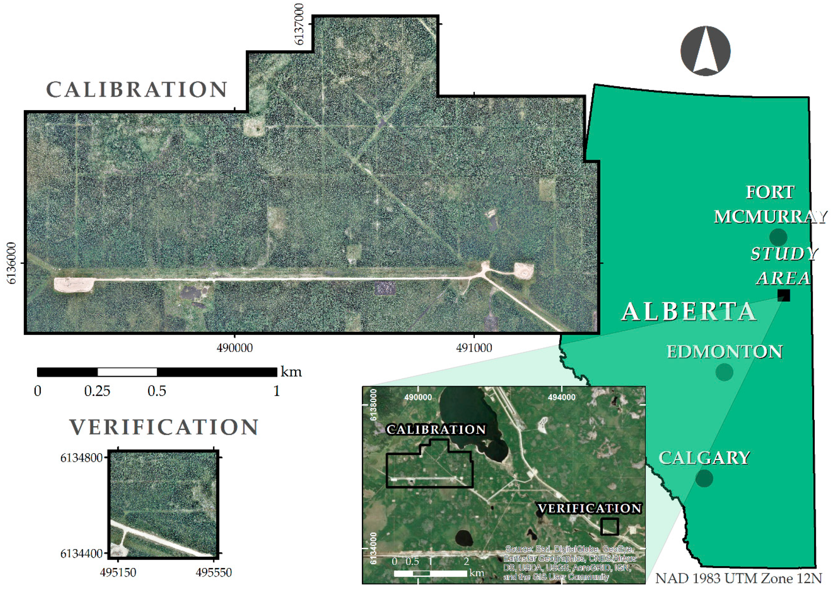 Forests 10 00471 g002