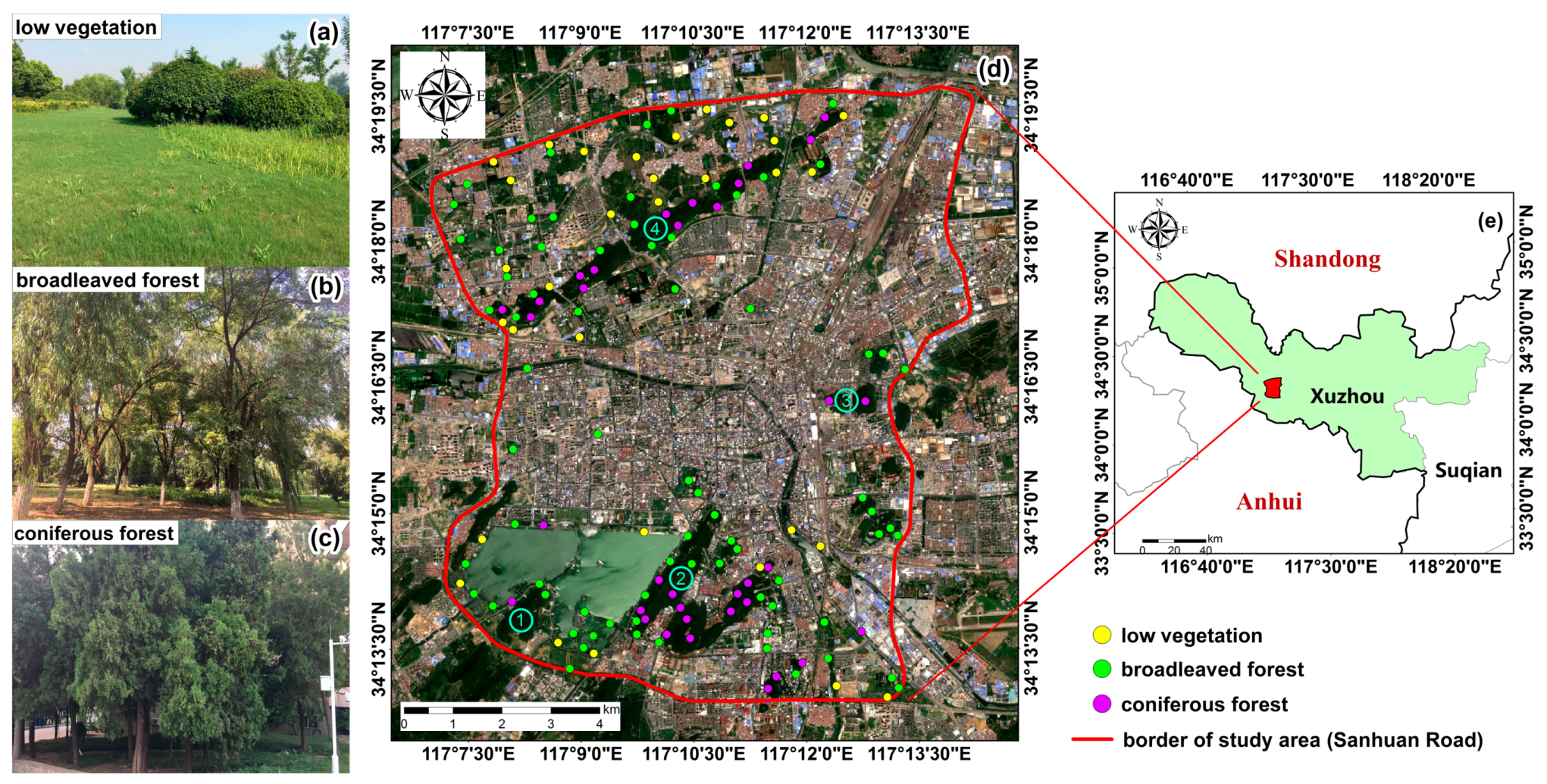 Forests 10 00478 g001