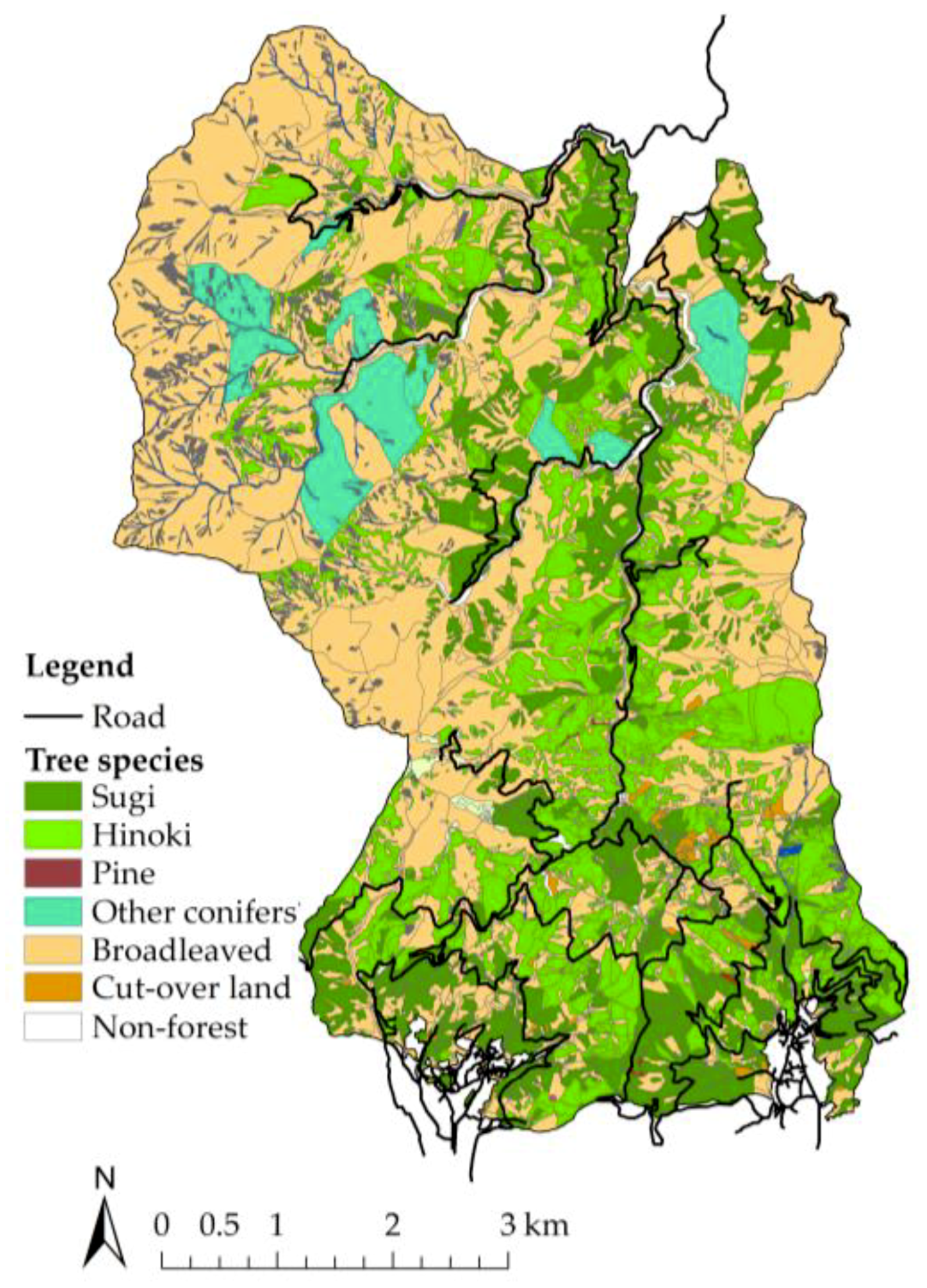 Forests 10 00482 g008