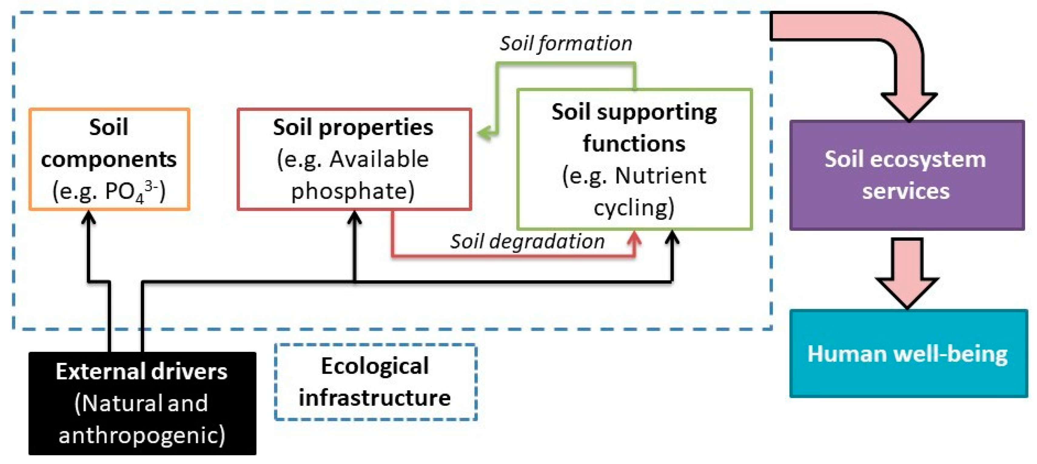 Forests 10 00487 g001 Forests 10 00487 g001