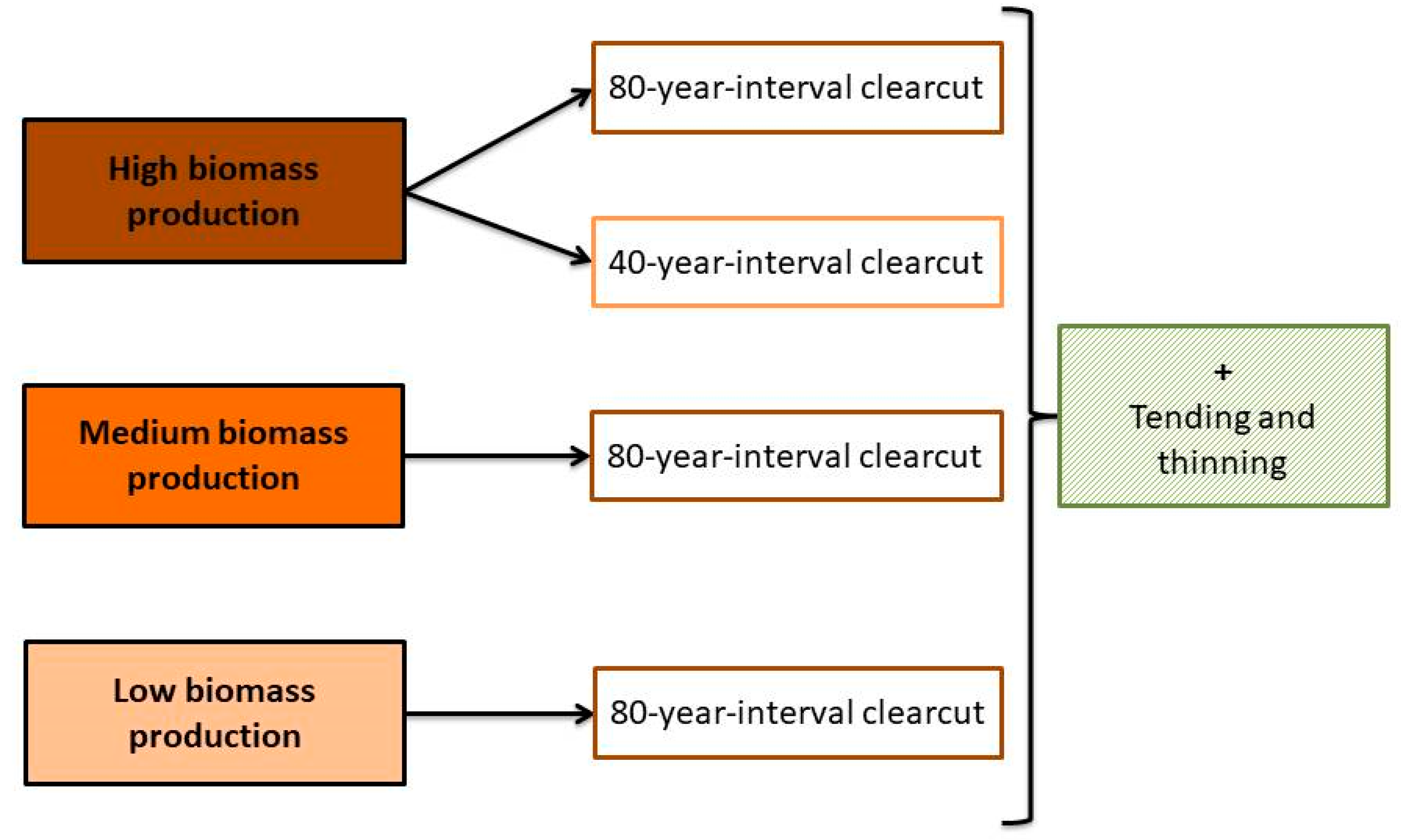 Forests 10 00487 g005 Forests 10 00487 g005