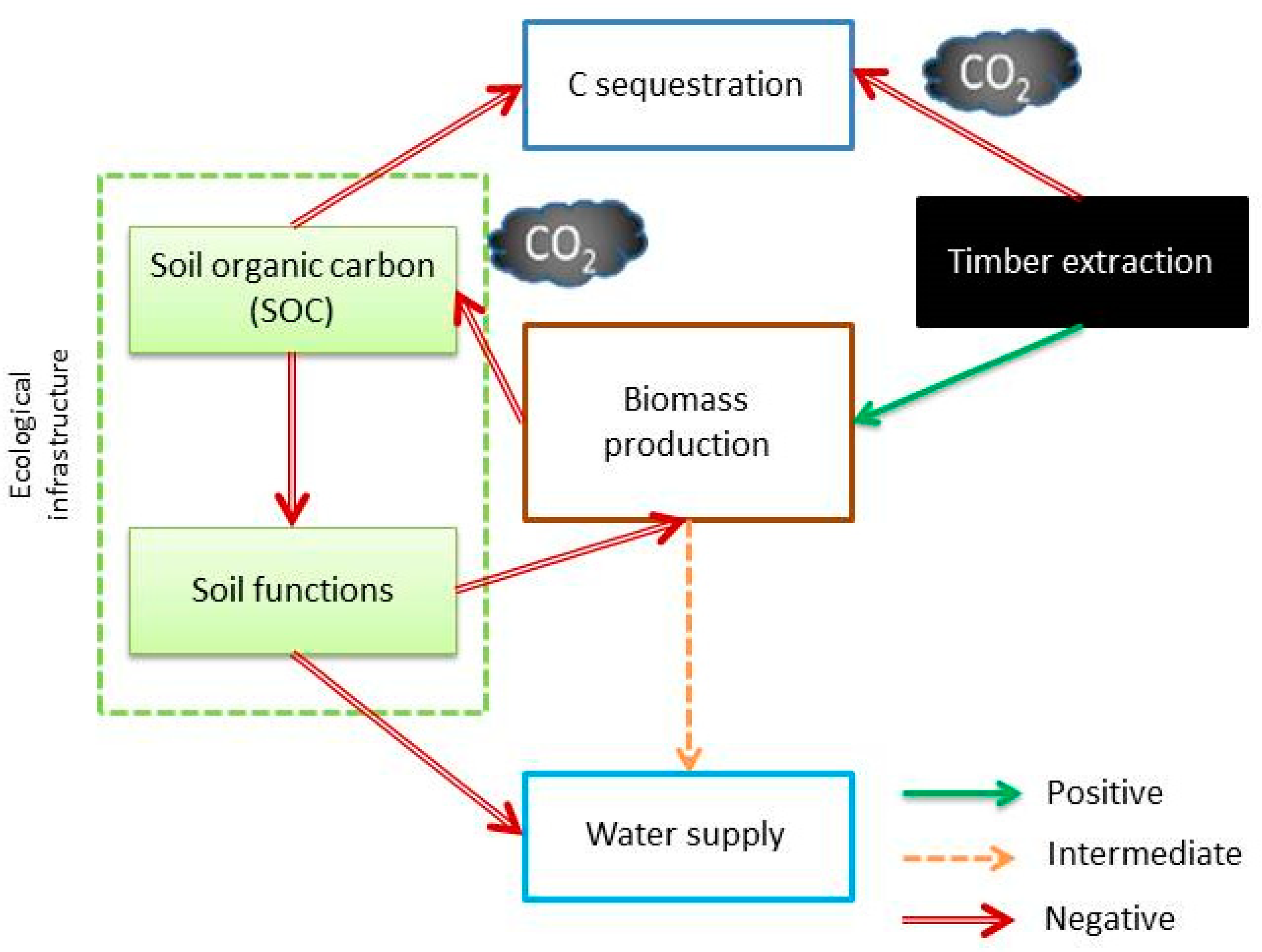 Forests 10 00487 g007 Forests 10 00487 g007