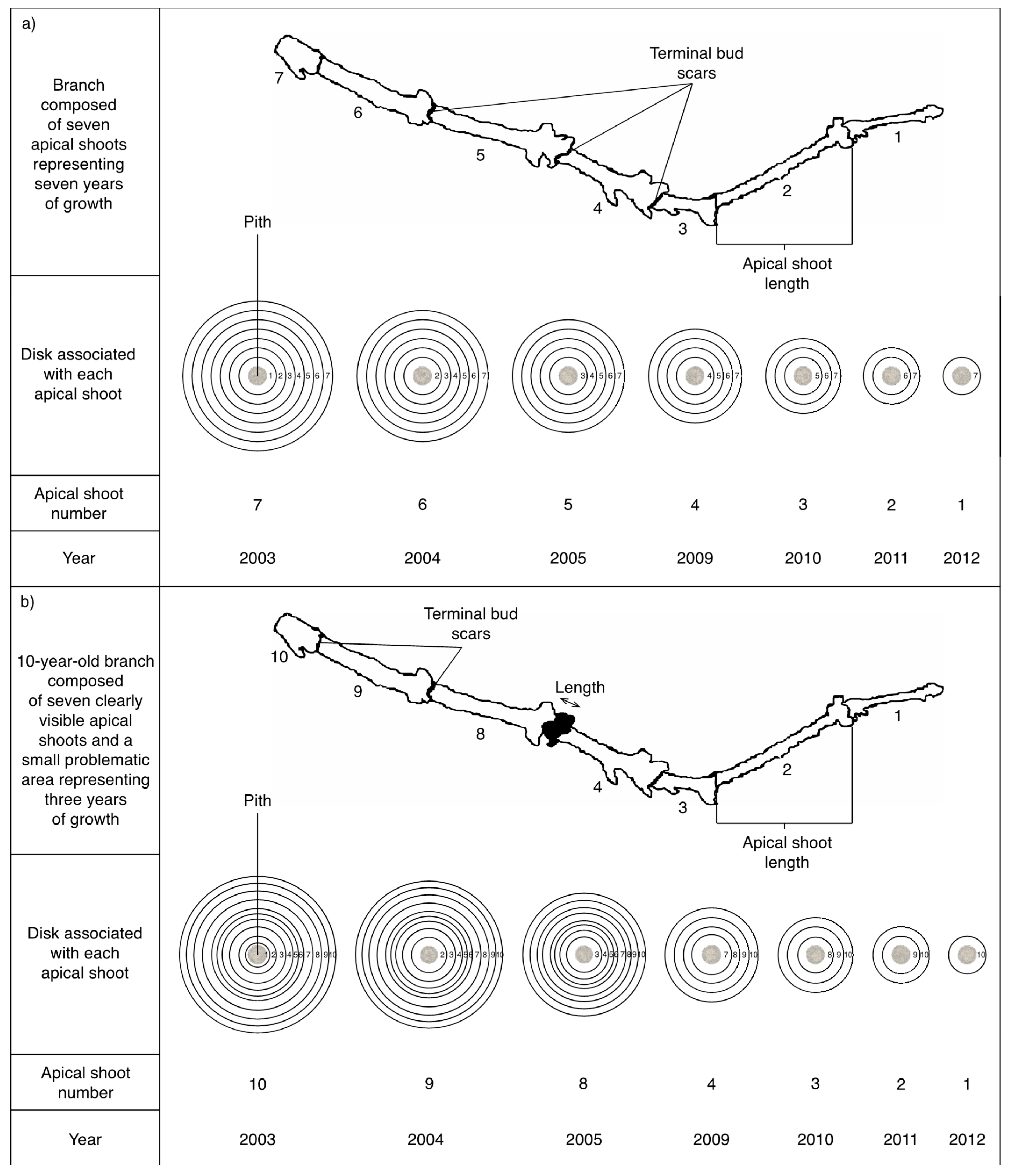 Forests 10 00500 g002 Forests 10 00500 g002