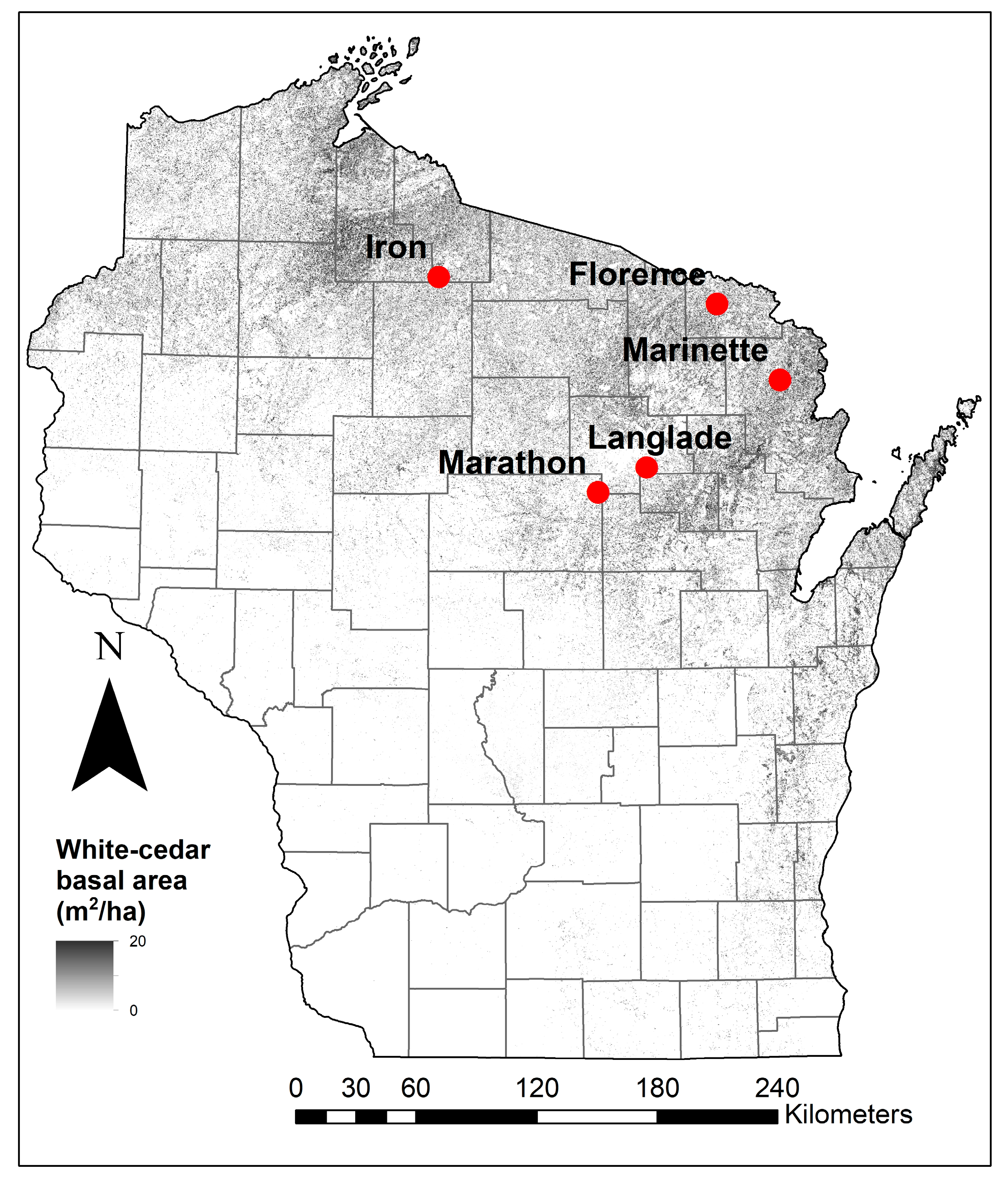 Forests 10 00501 g001