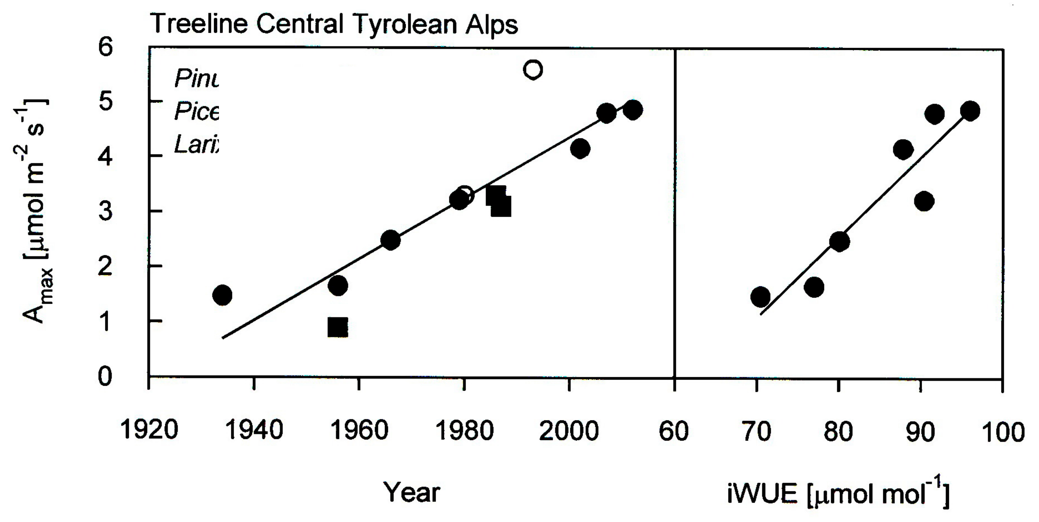 Forests 10 00508 g005