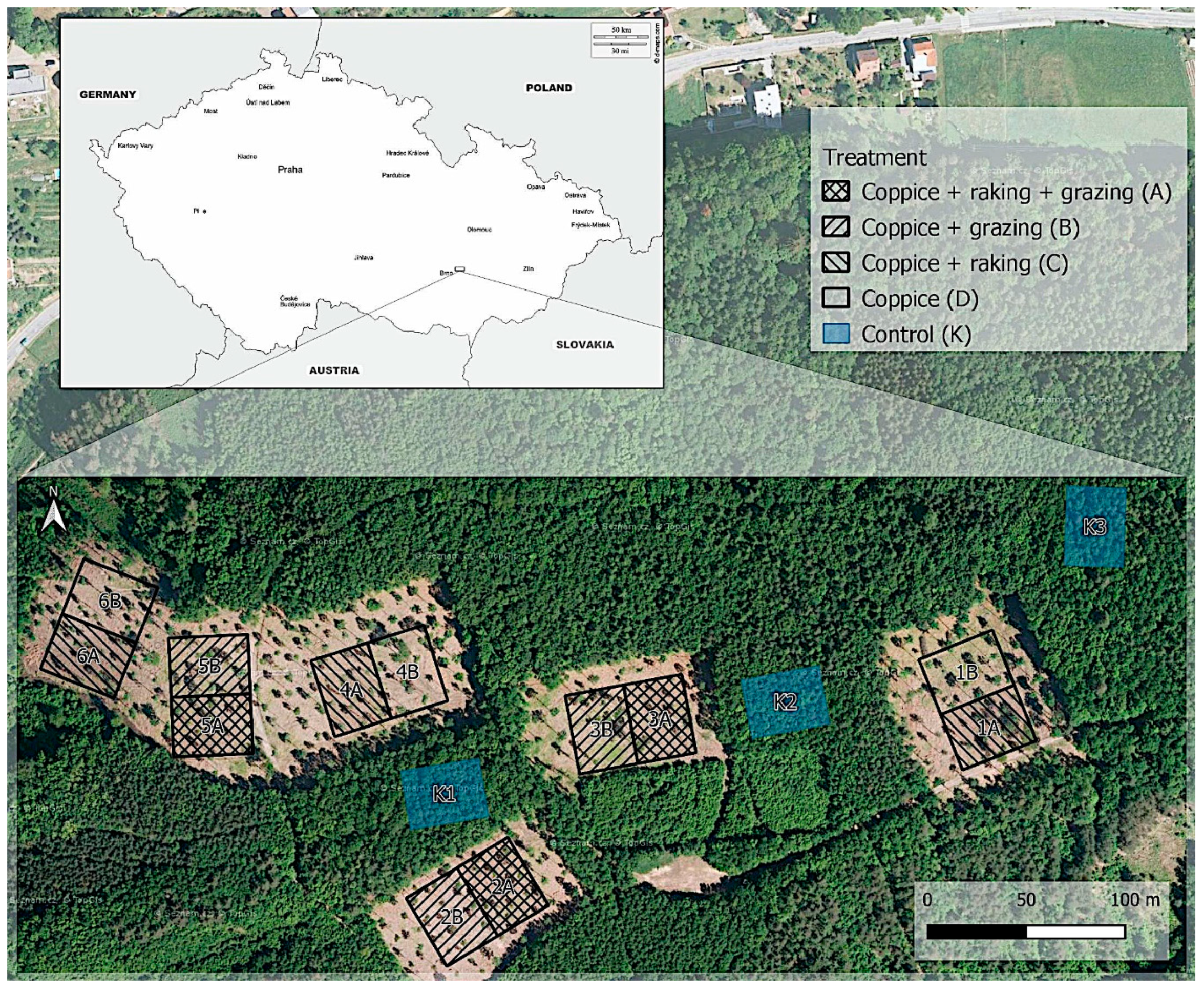 Forests 10 00515 g001 Forests 10 00515 g001
