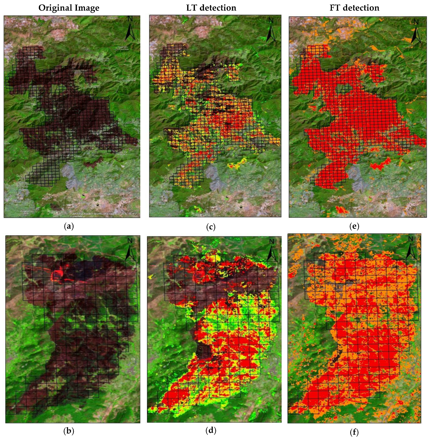 Forests 10 00518 g006 Forests 10 00518 g006