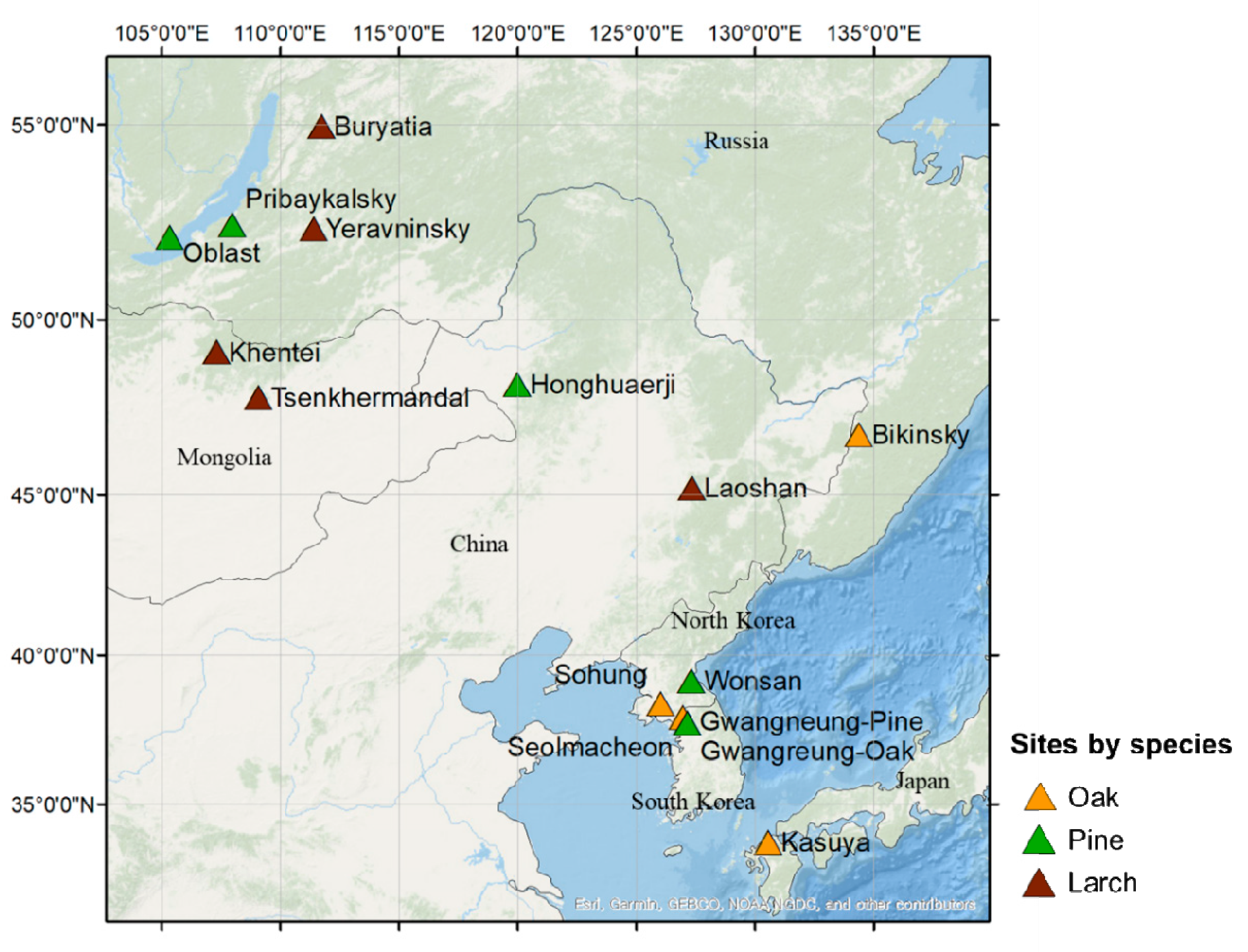Forests 10 00523 g001 Forests 10 00523 g001
