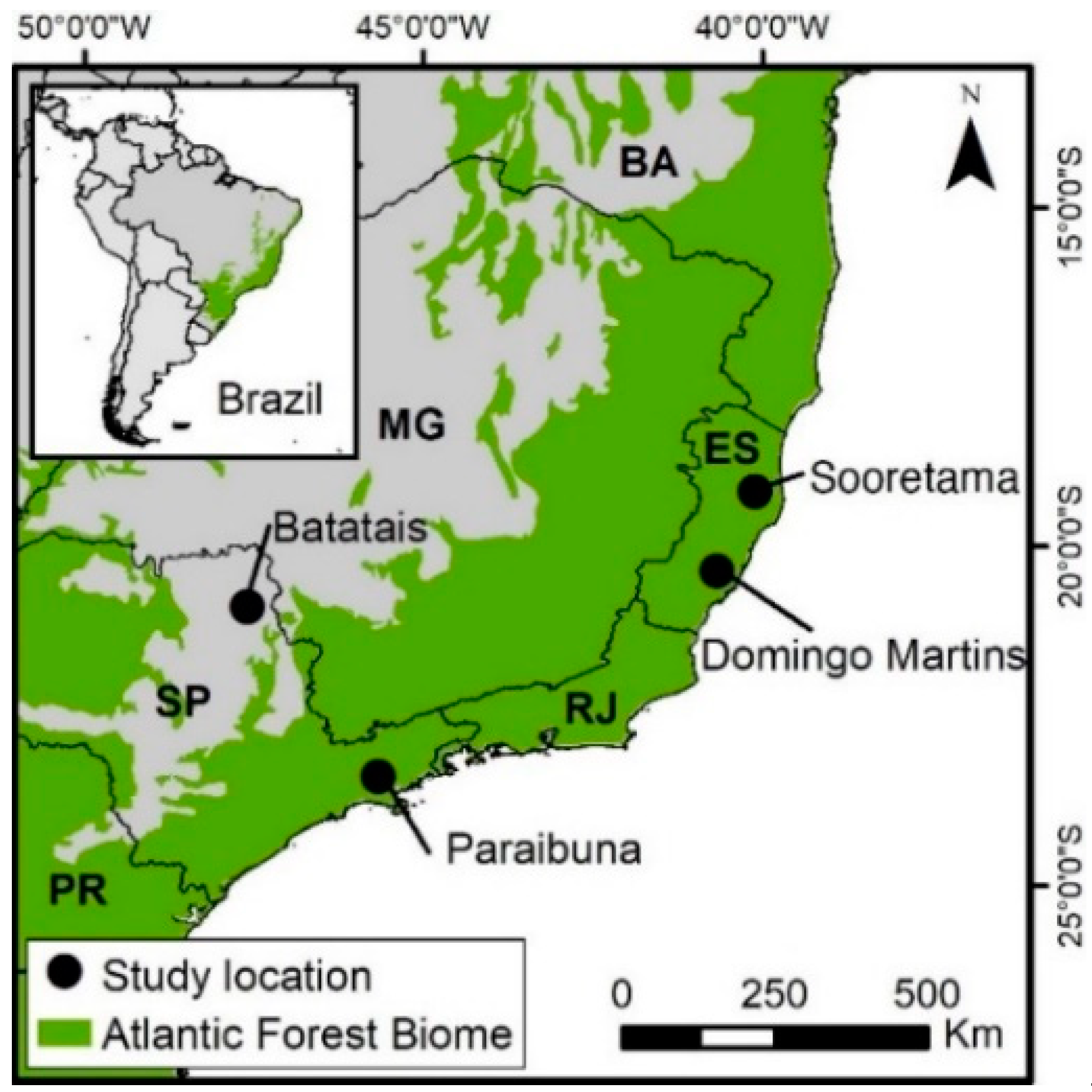 Forests 10 00530 g002 Forests 10 00530 g002