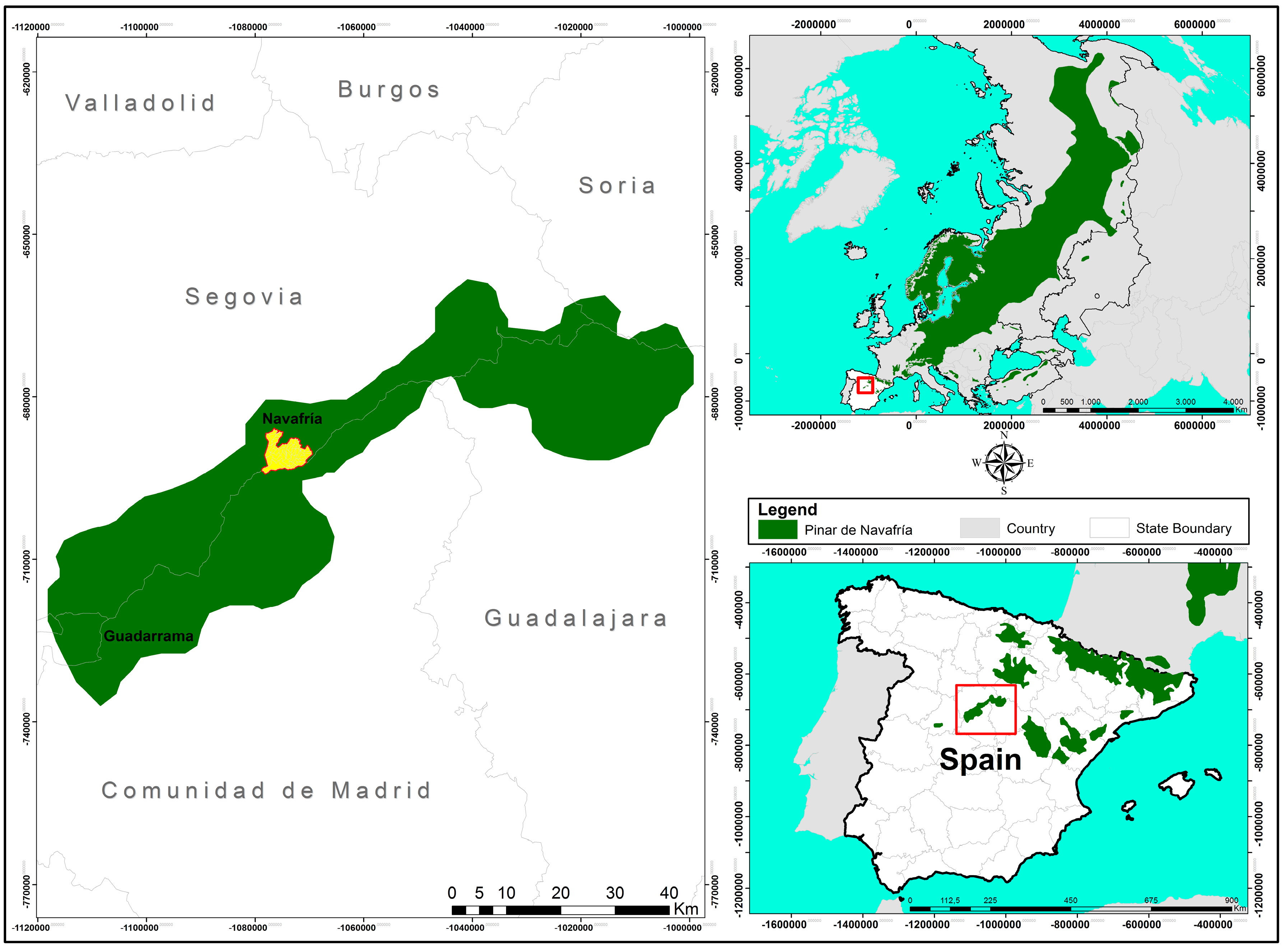 Forests 10 00532 g001 Forests 10 00532 g001