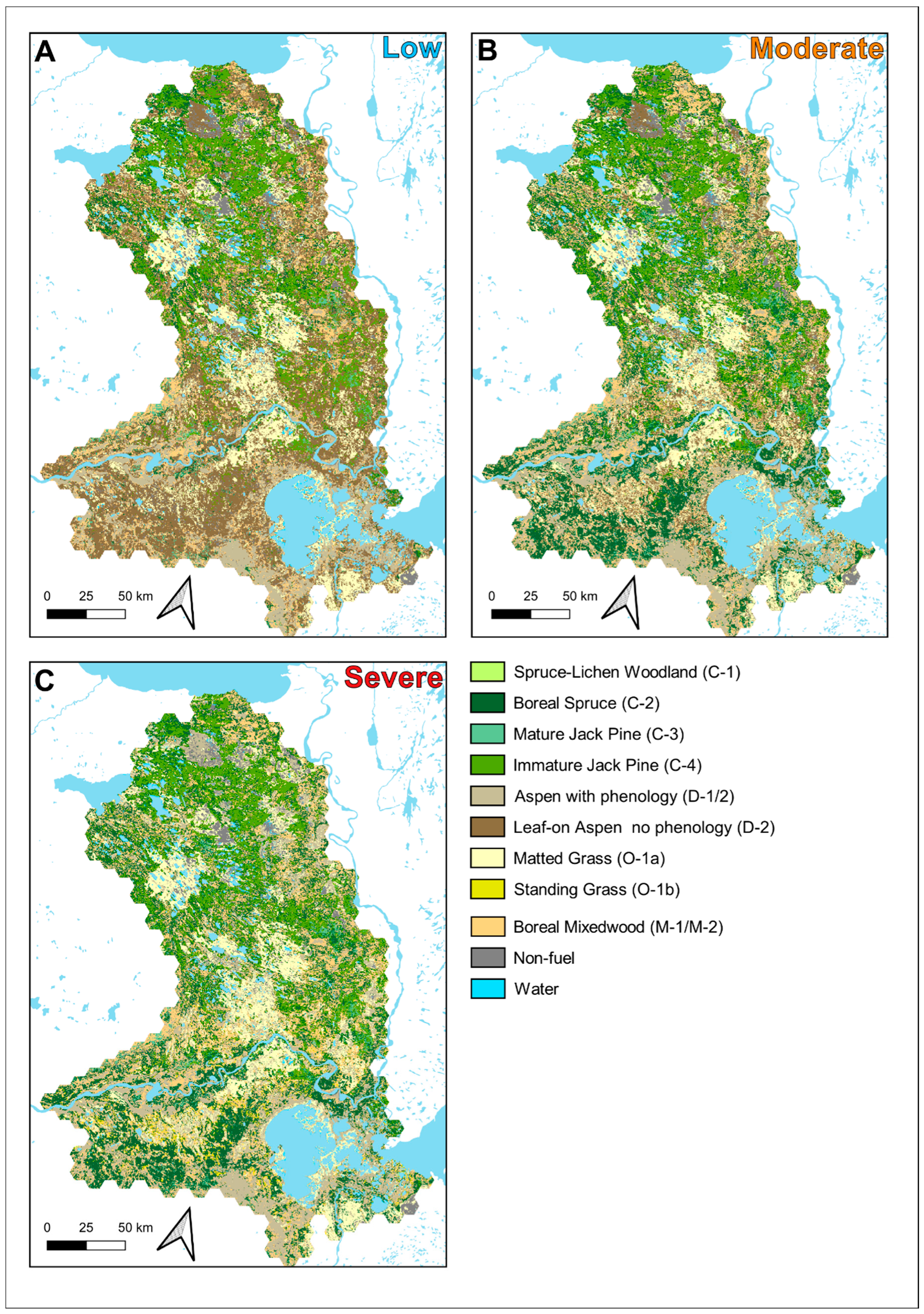 Forests 10 00534 g002 Forests 10 00534 g002