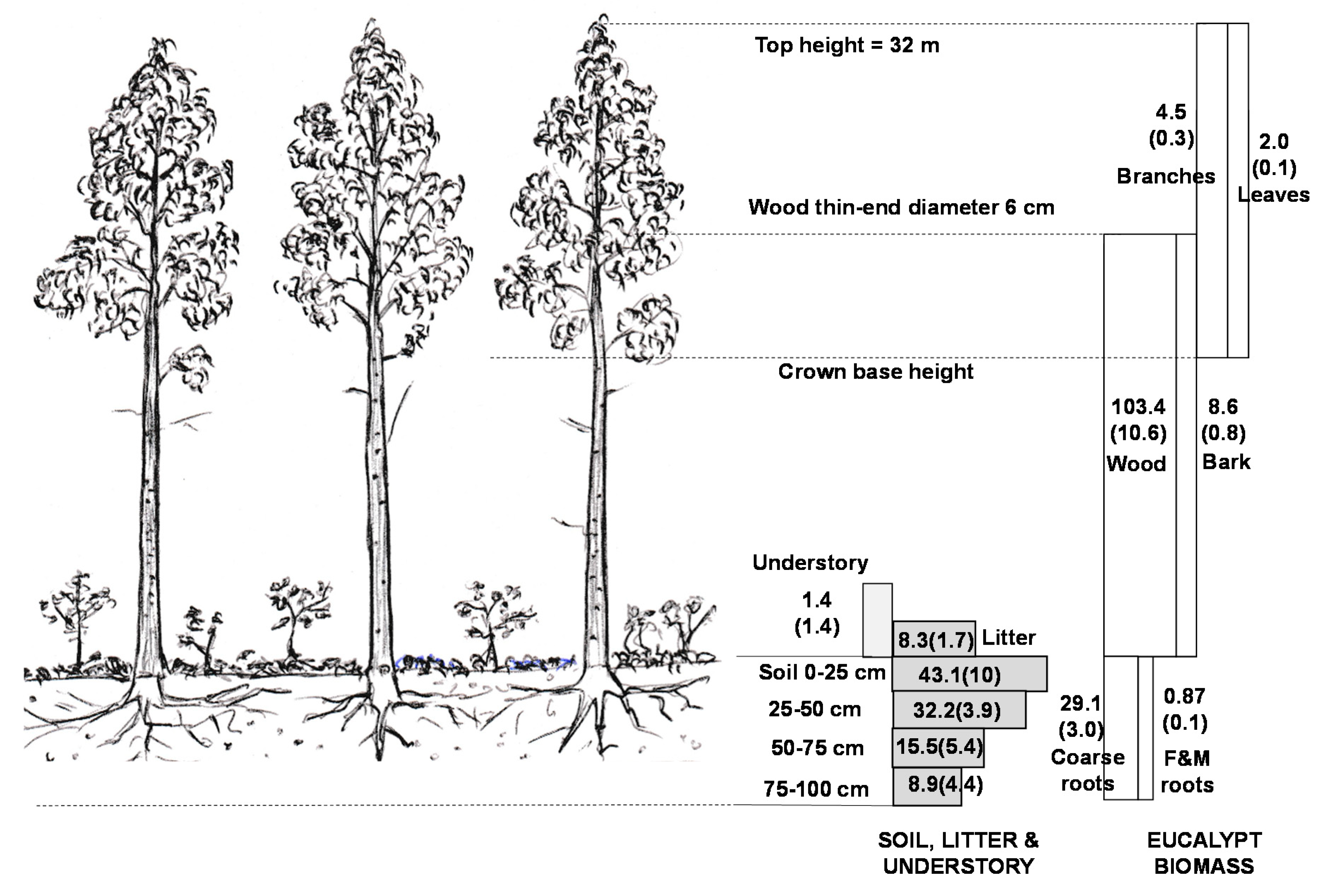 choosing the right stem length