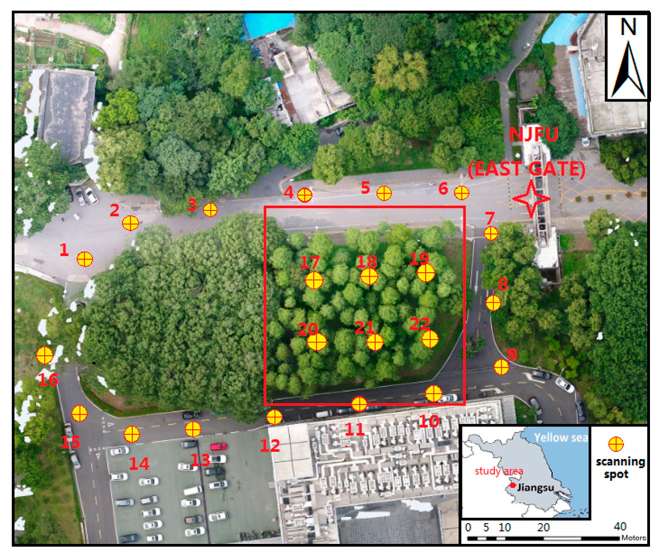 Forests 10 00537 g002